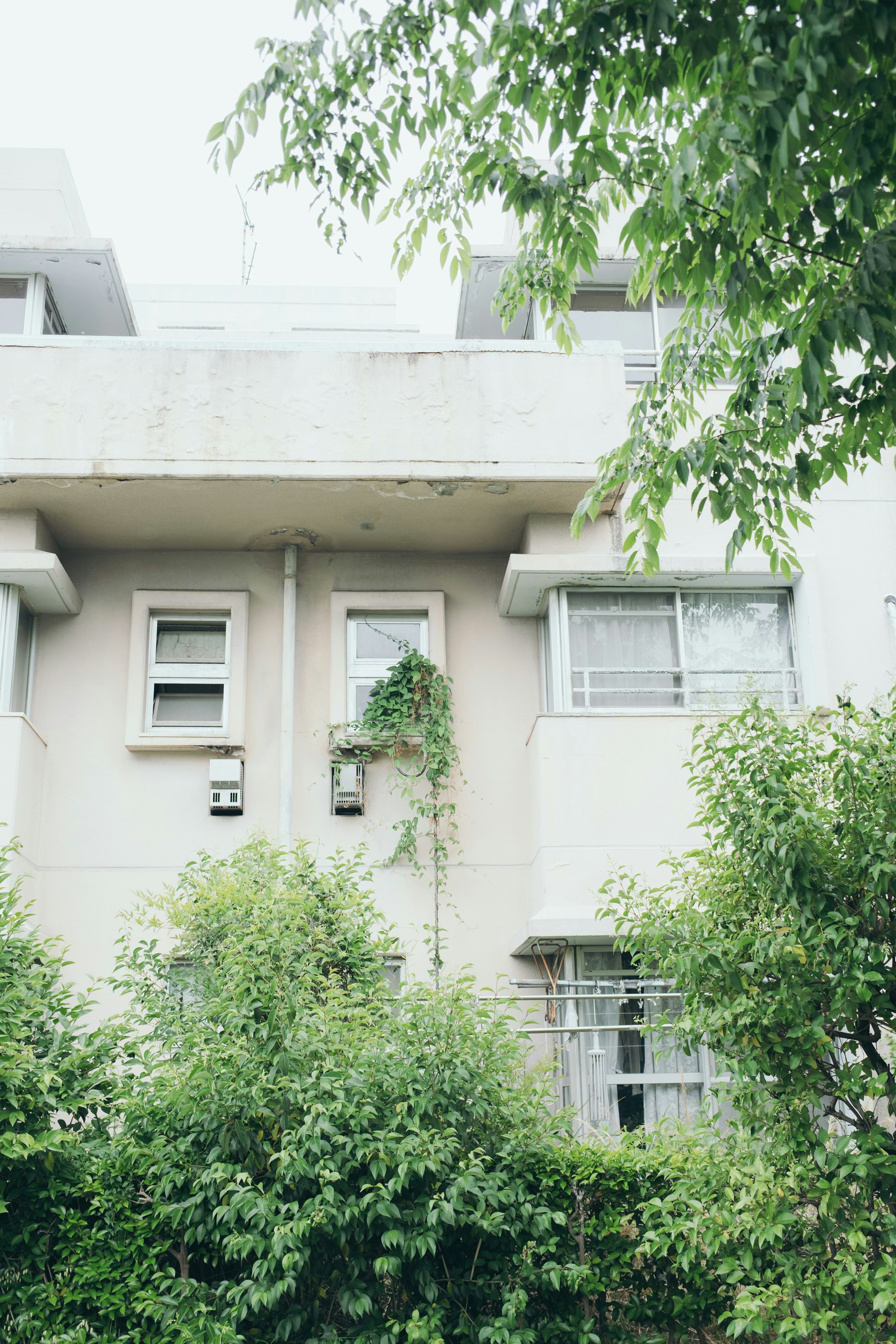 緑の木々に囲まれた白い集合住宅の外観