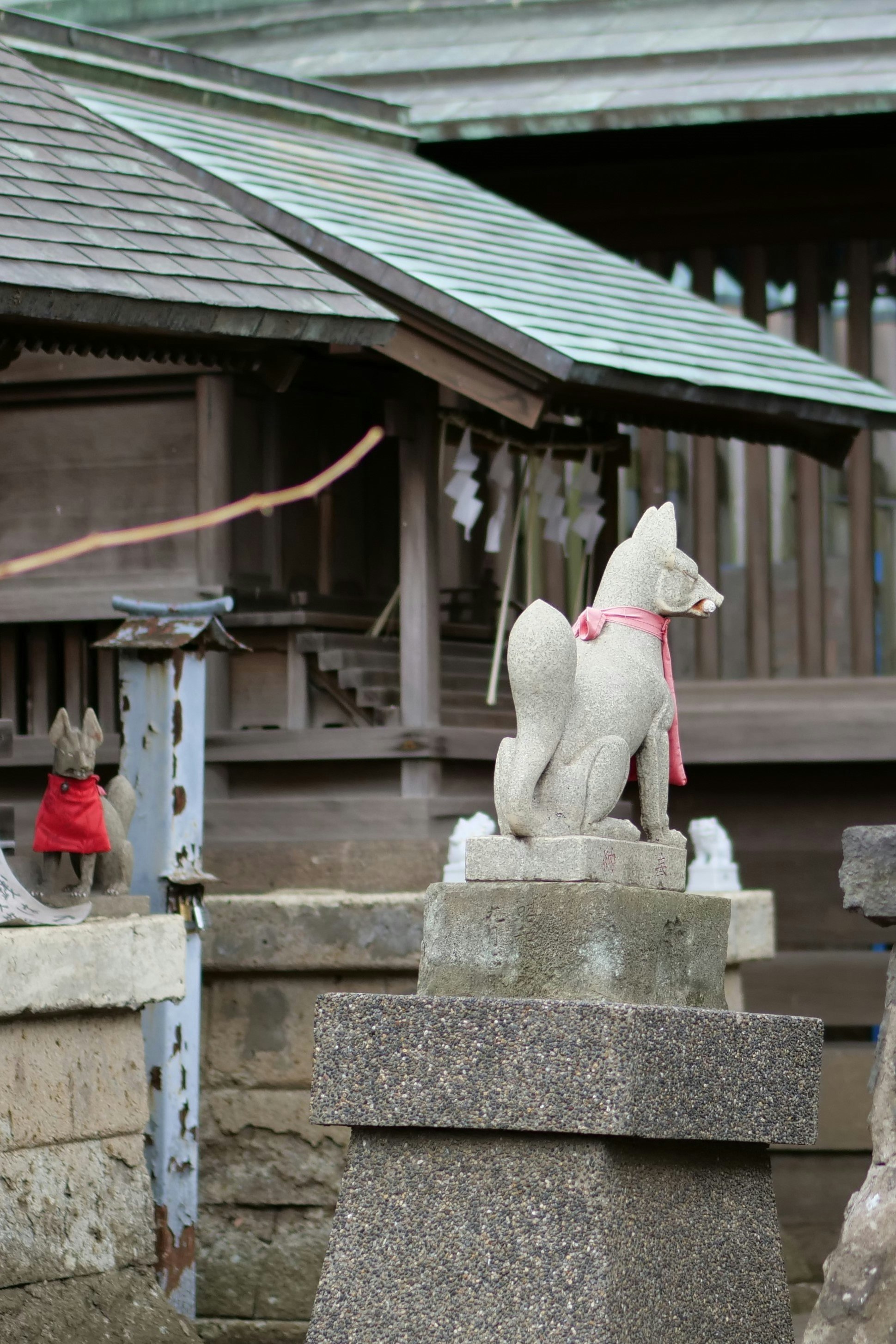 photo-IeofrDGkPwjujjNr44DK-image