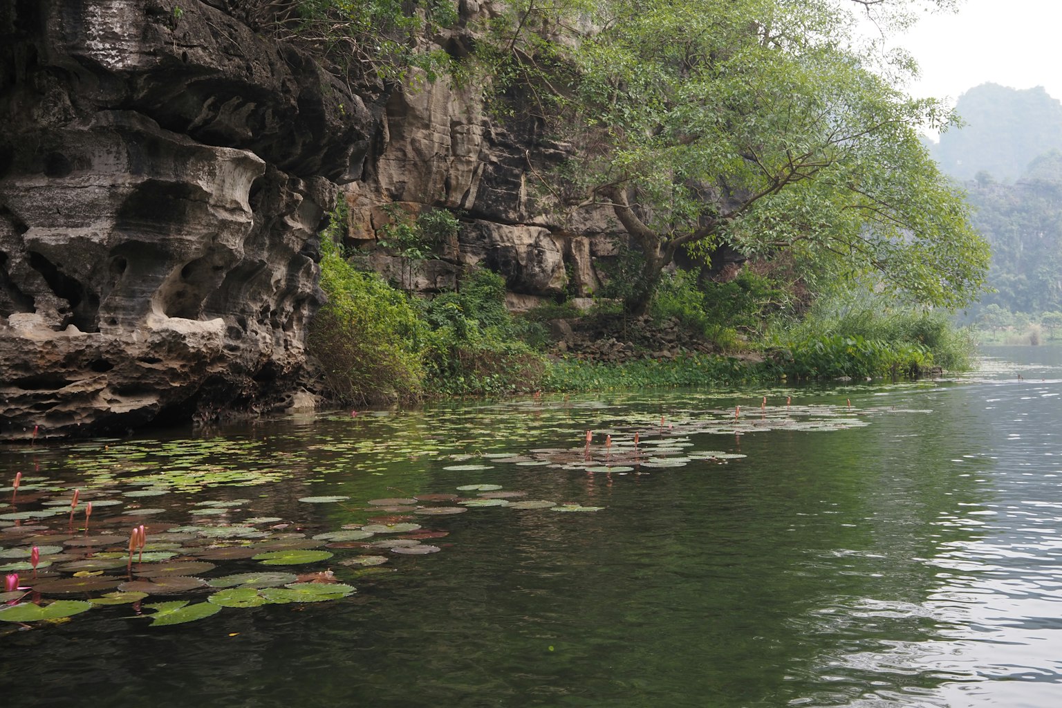 Pemandangan tenang pepohonan hijau dan tebing berbatu di tepi danau yang tenang