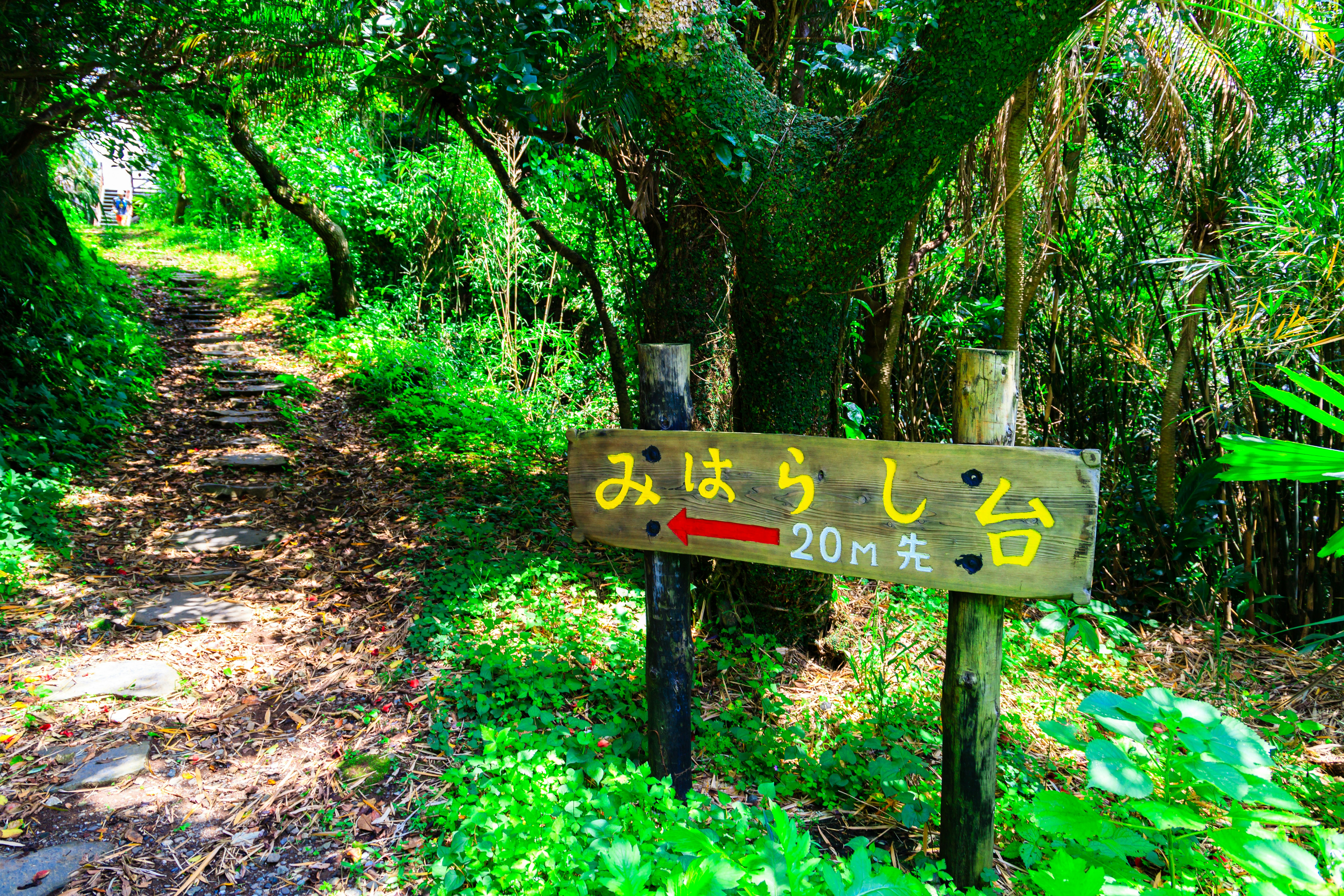 緑の森の小道にある「みはらい台」案内標識のある風景