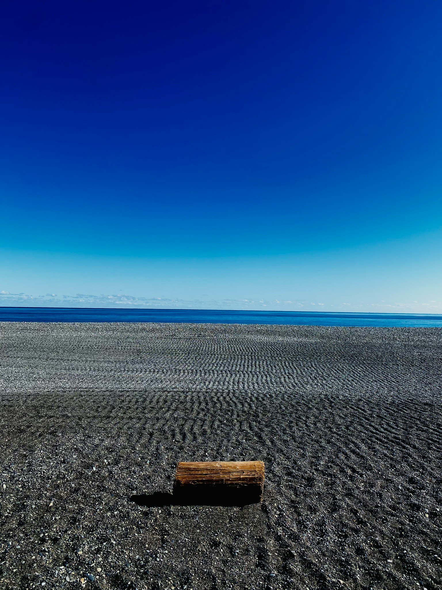 青い空と海の背景にある砂浜の木の丸太