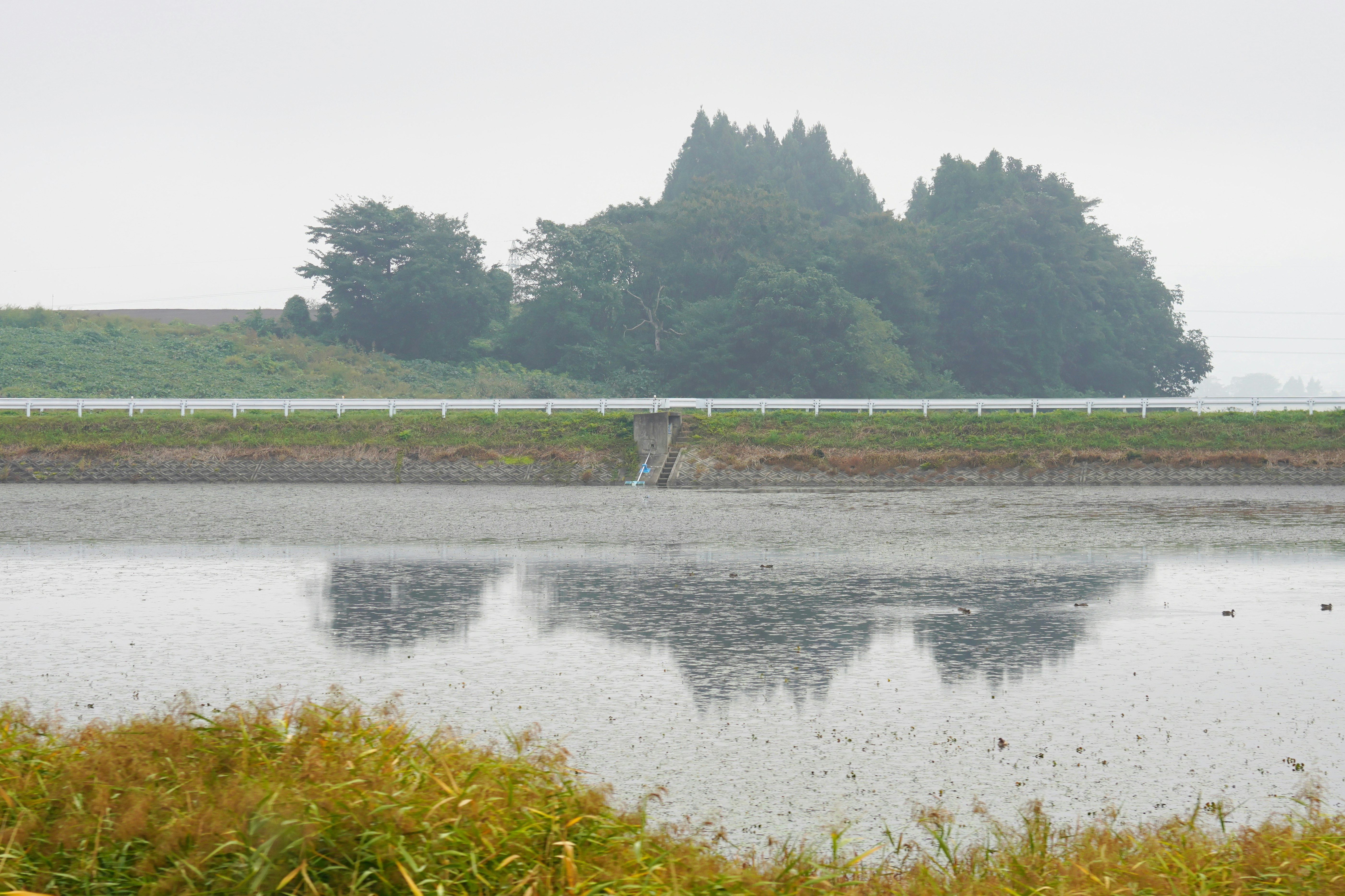 川面に映る霧のかかった堤防と草地の風景