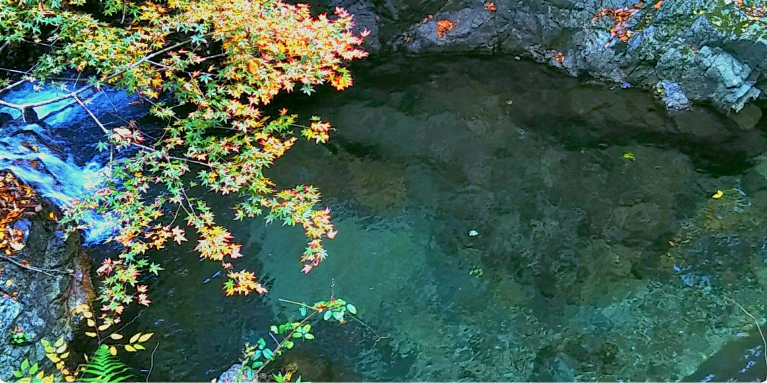 Feuilles d'automne et rochers reflétés sur une surface d'eau claire