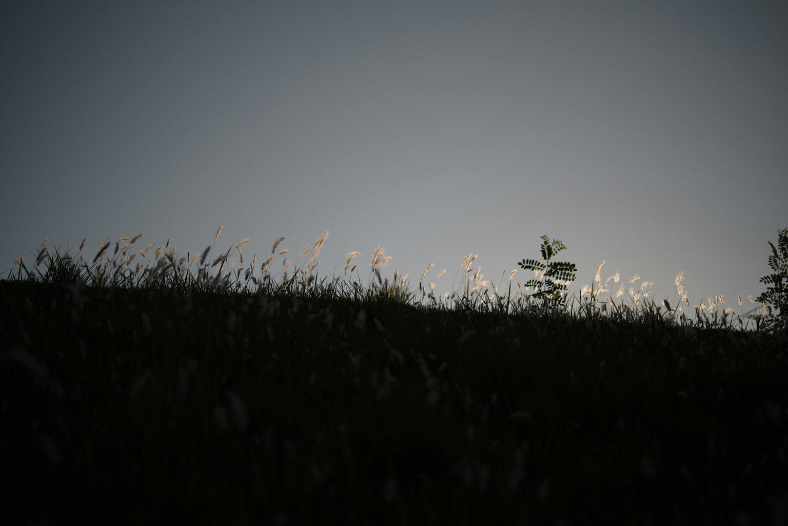 photo-IgXBC7MscuOc03yWooBb-image