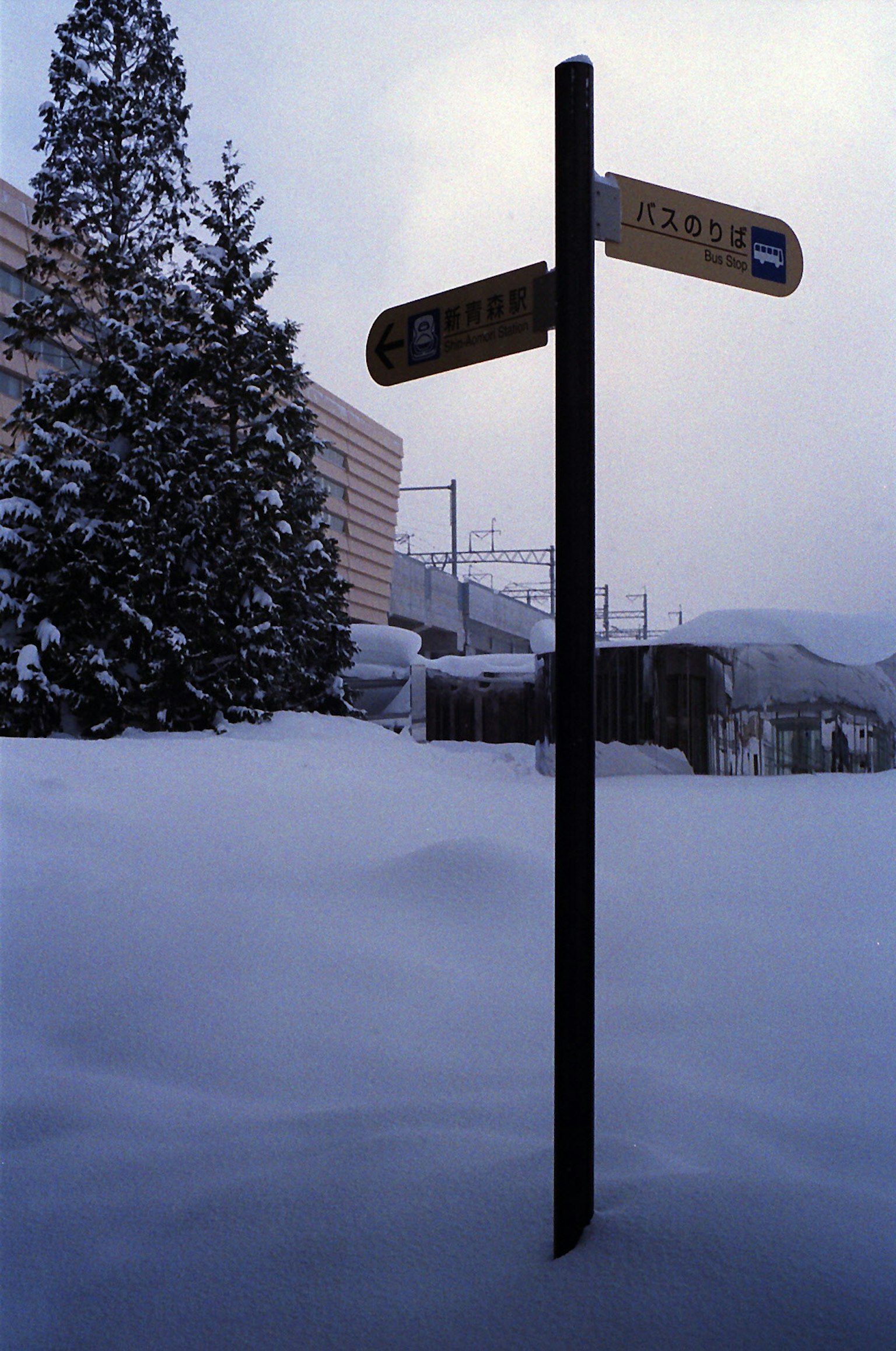 被雪覆蓋的路標和周圍的雪景
