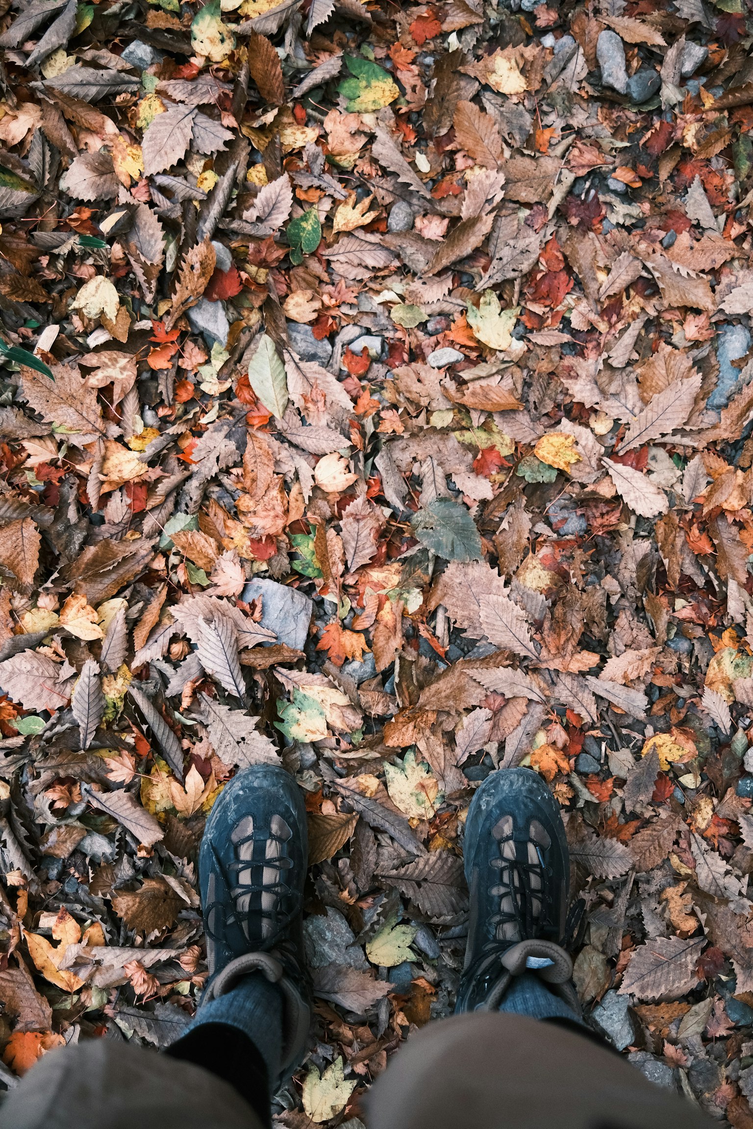 photo-Ih06yU9qnCz2y8dFlecy-image