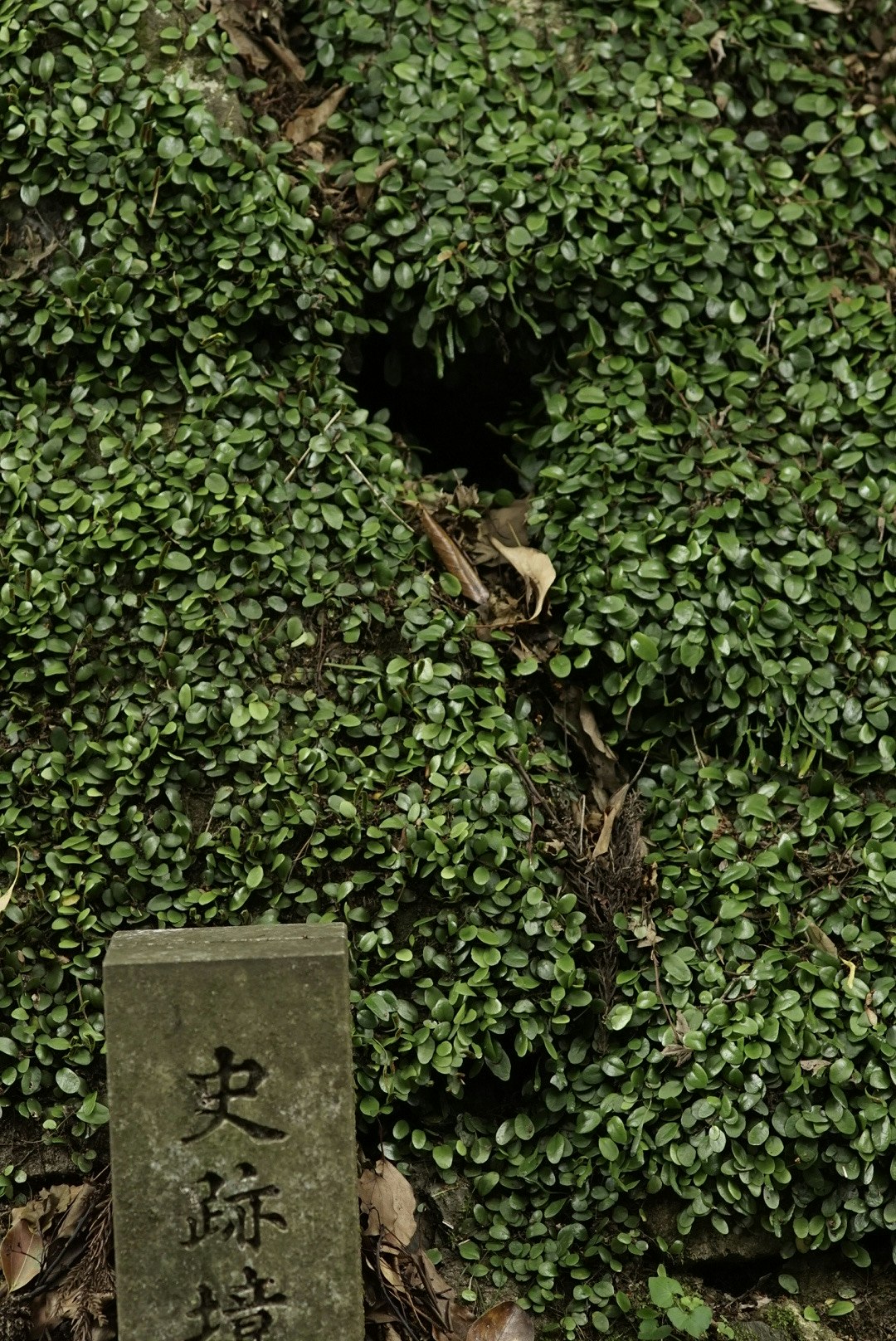 moss-covered wall niche with a stone marker