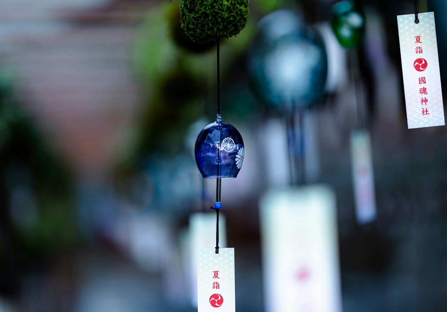 藍色風鈴與白色標籤懸掛在寧靜的環境中
