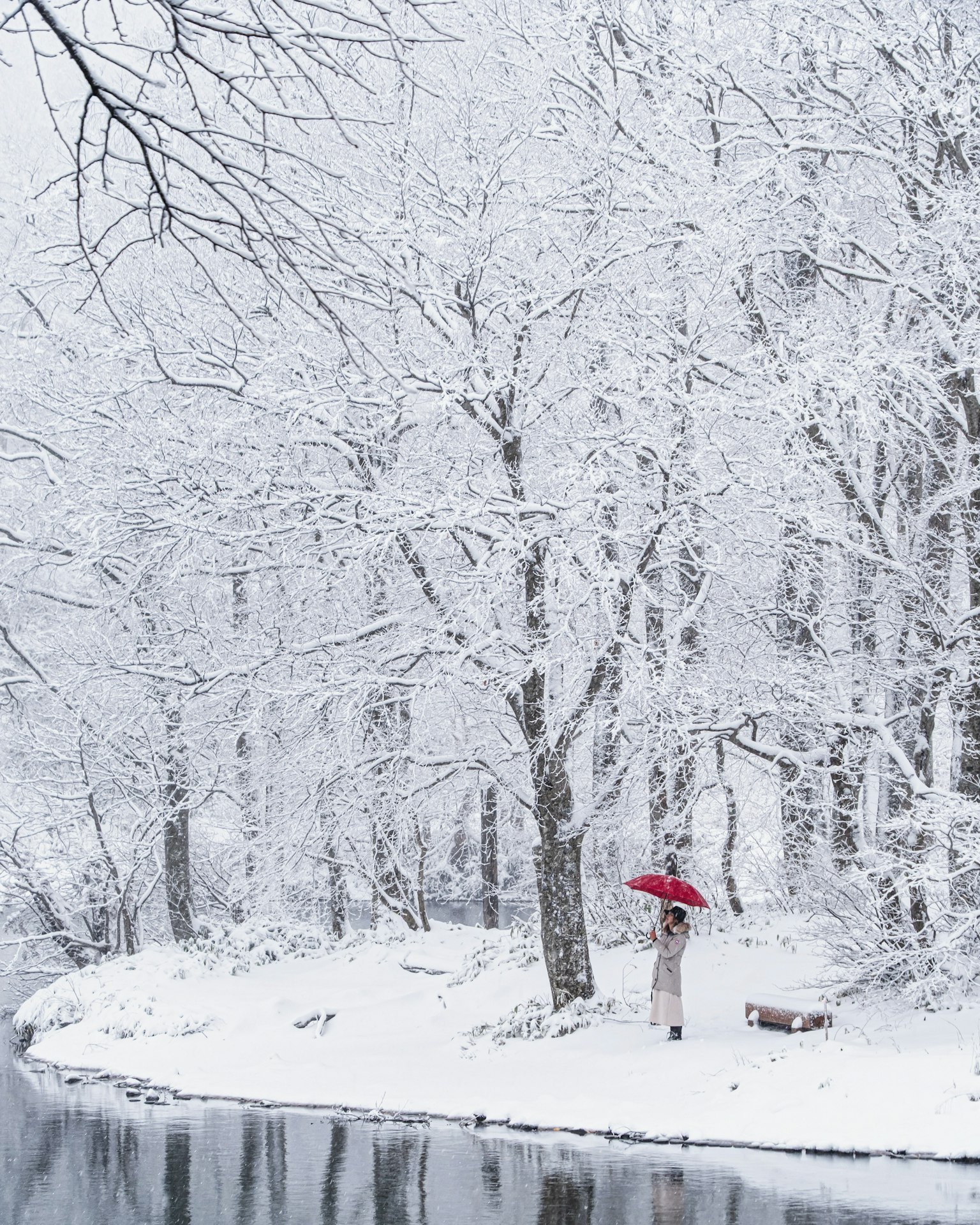 Paisaje de invierno con árboles cubiertos de nieve y una persona con un paraguas rojo