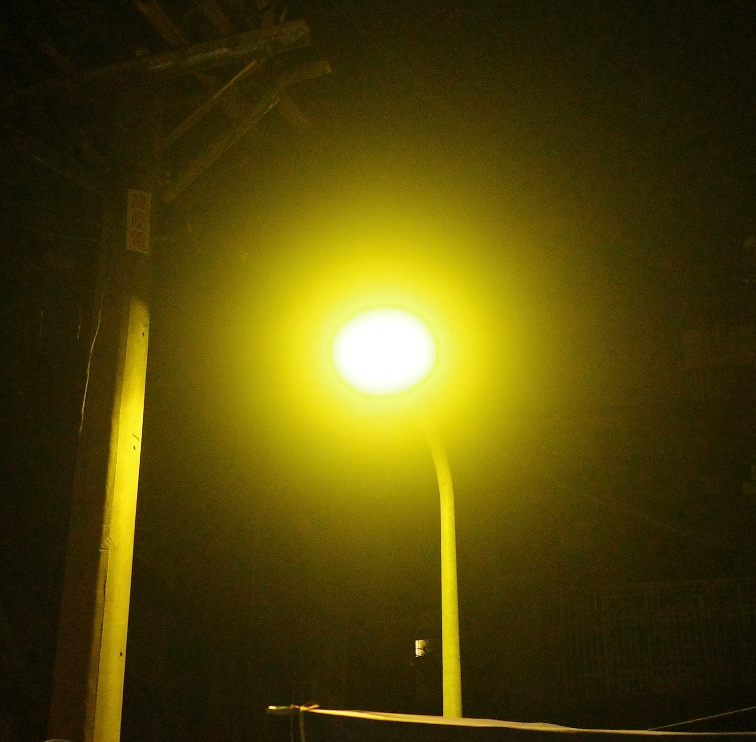 夜の街灯が明るく照らすシーン