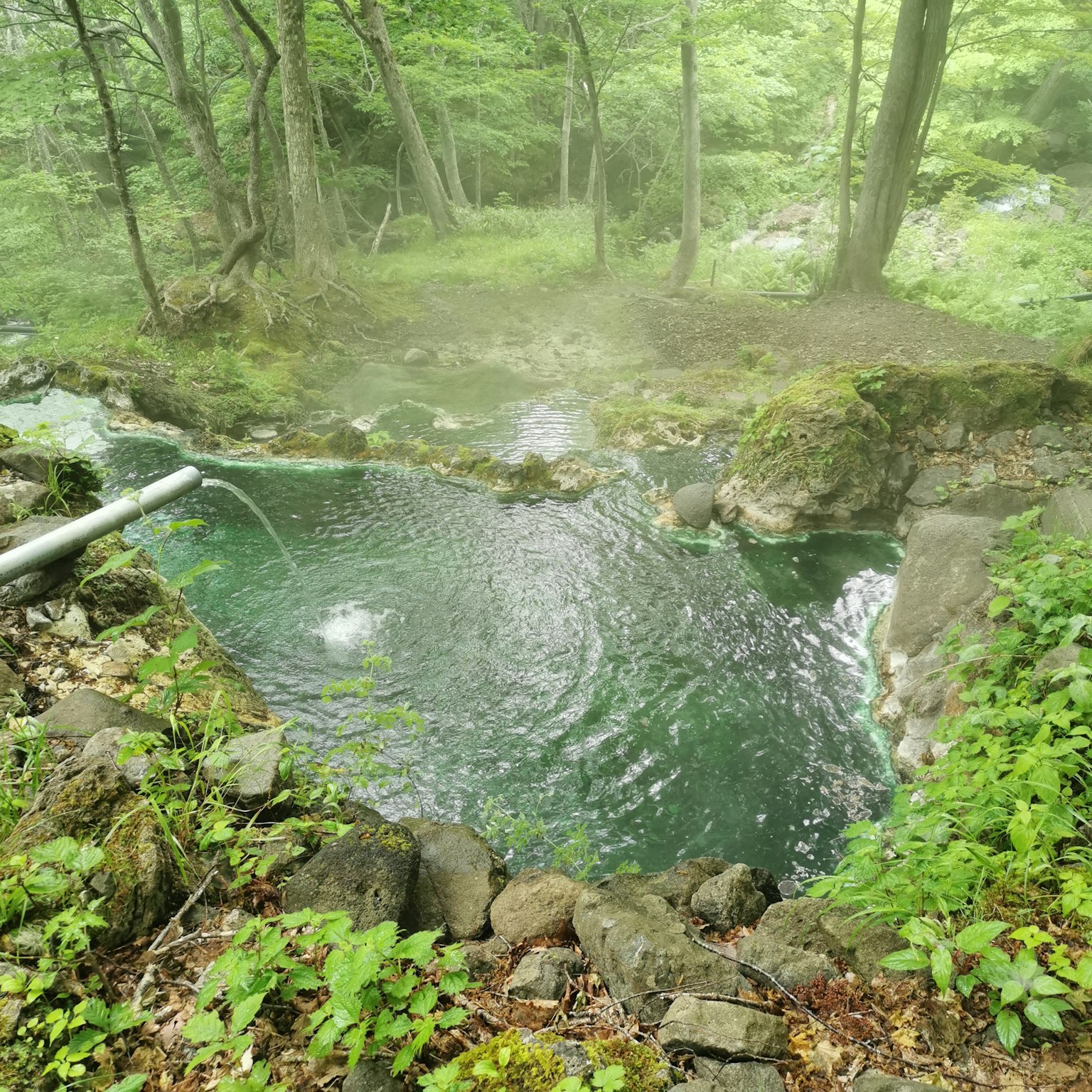 Un piccolo stagno simile a una sorgente termale in una foresta verdeggiante vapore che sale e increspature sulla superficie dell'acqua