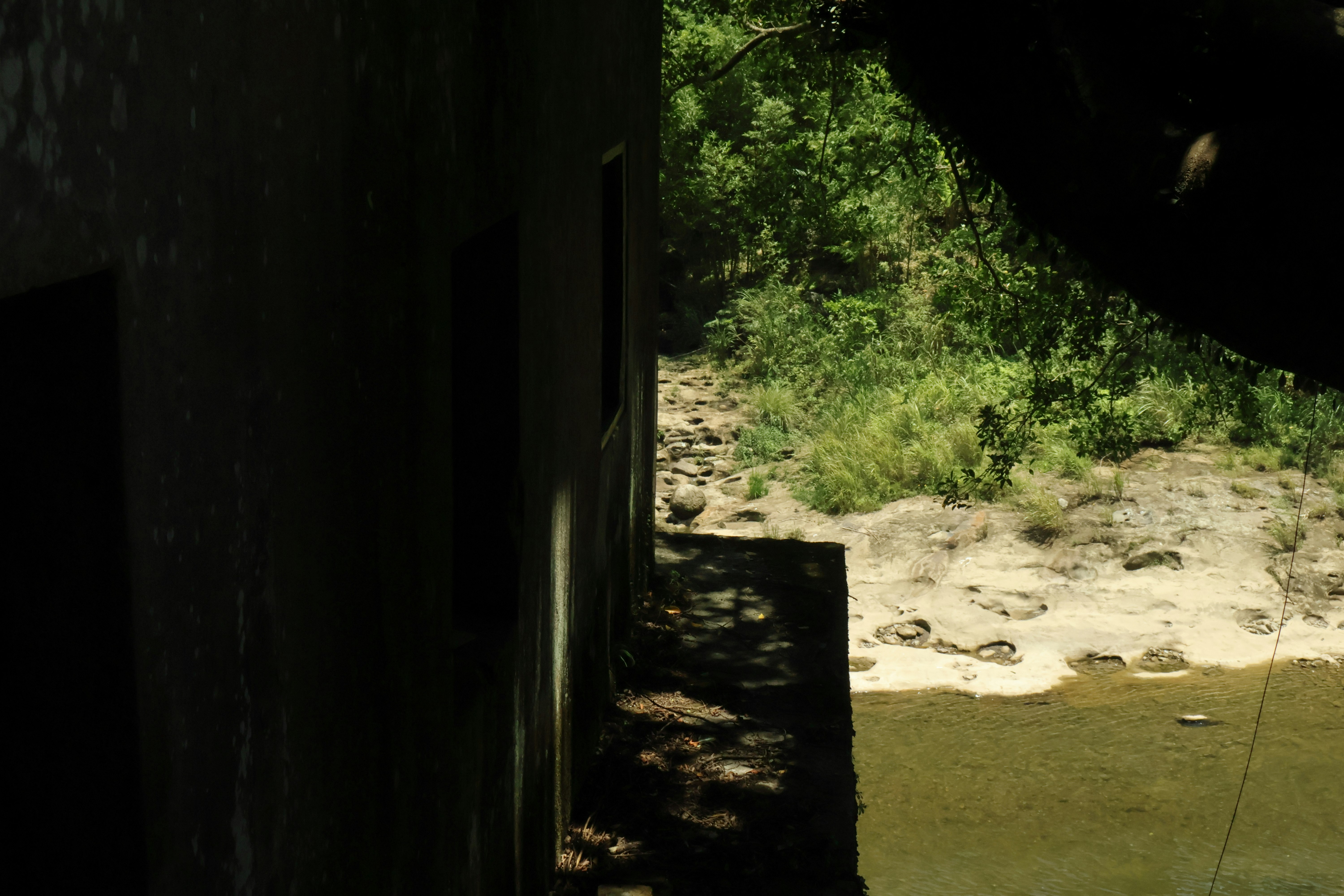 vista de naturaleza verde junto al río desde la entrada de una cueva