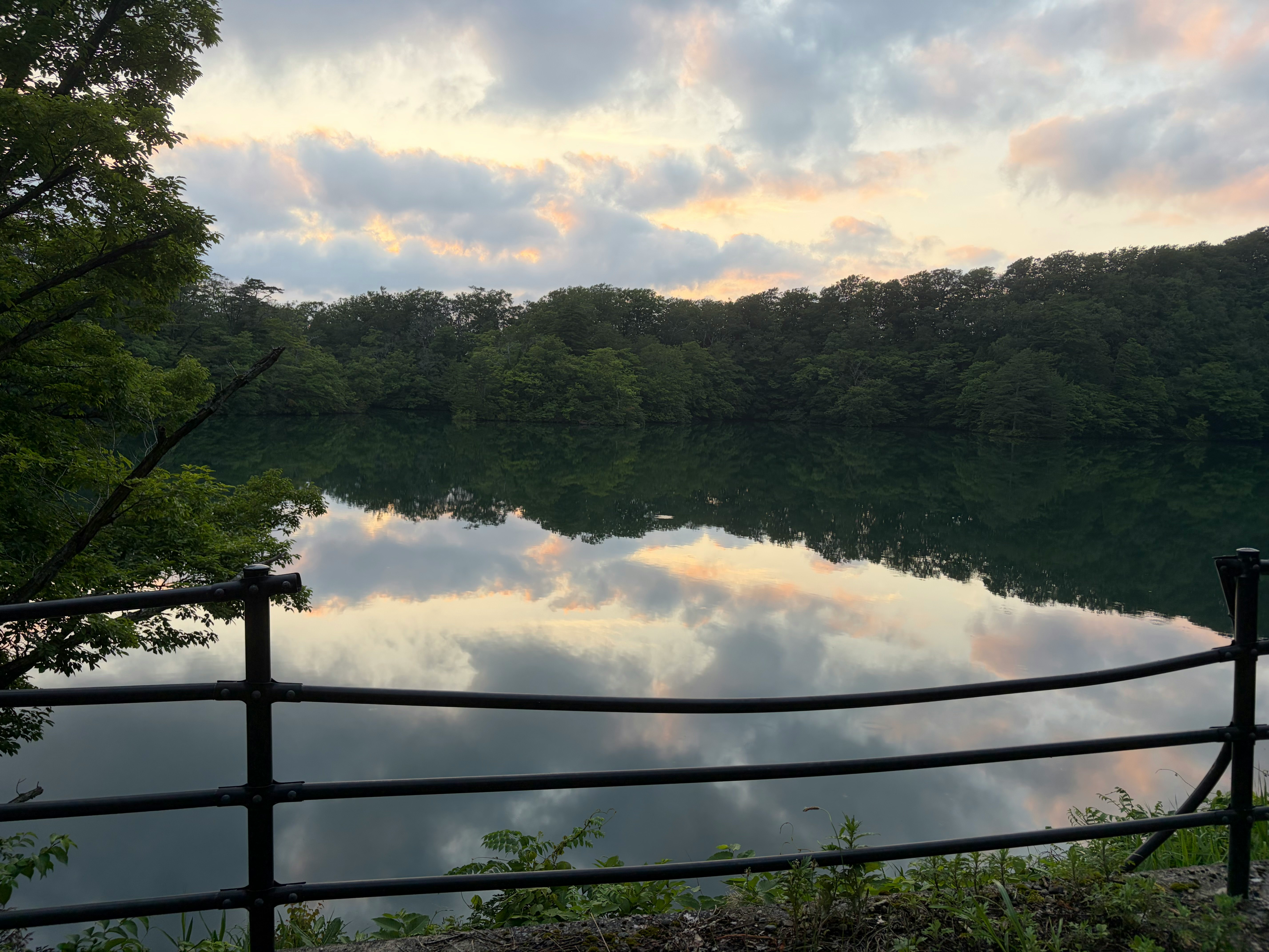柵越しに広がる森と静かな湖の夕景