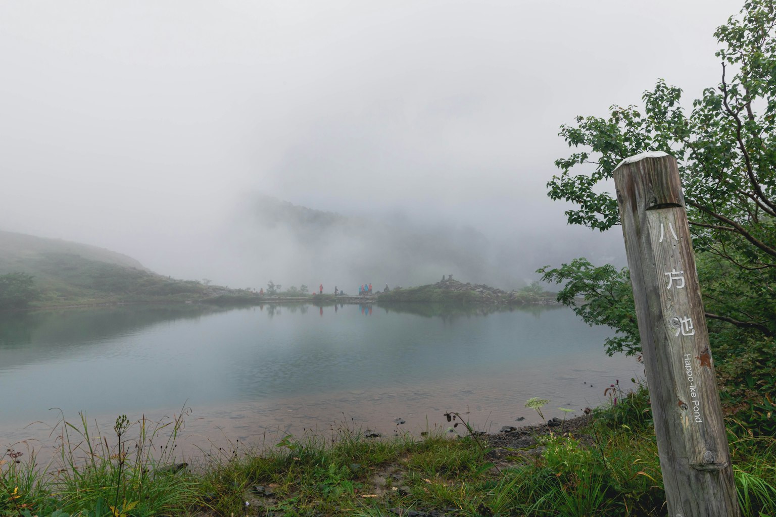 Scena di lago nebbioso con segnale in legno e vegetazione circostante