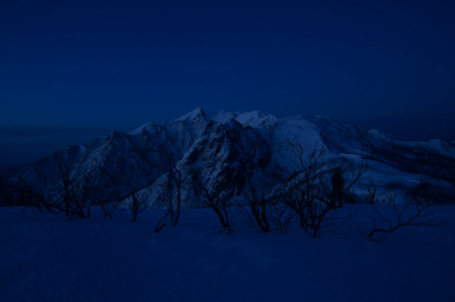 夜间雪山景观 深蓝色天空 覆雪的山峰 枯树的轮廓