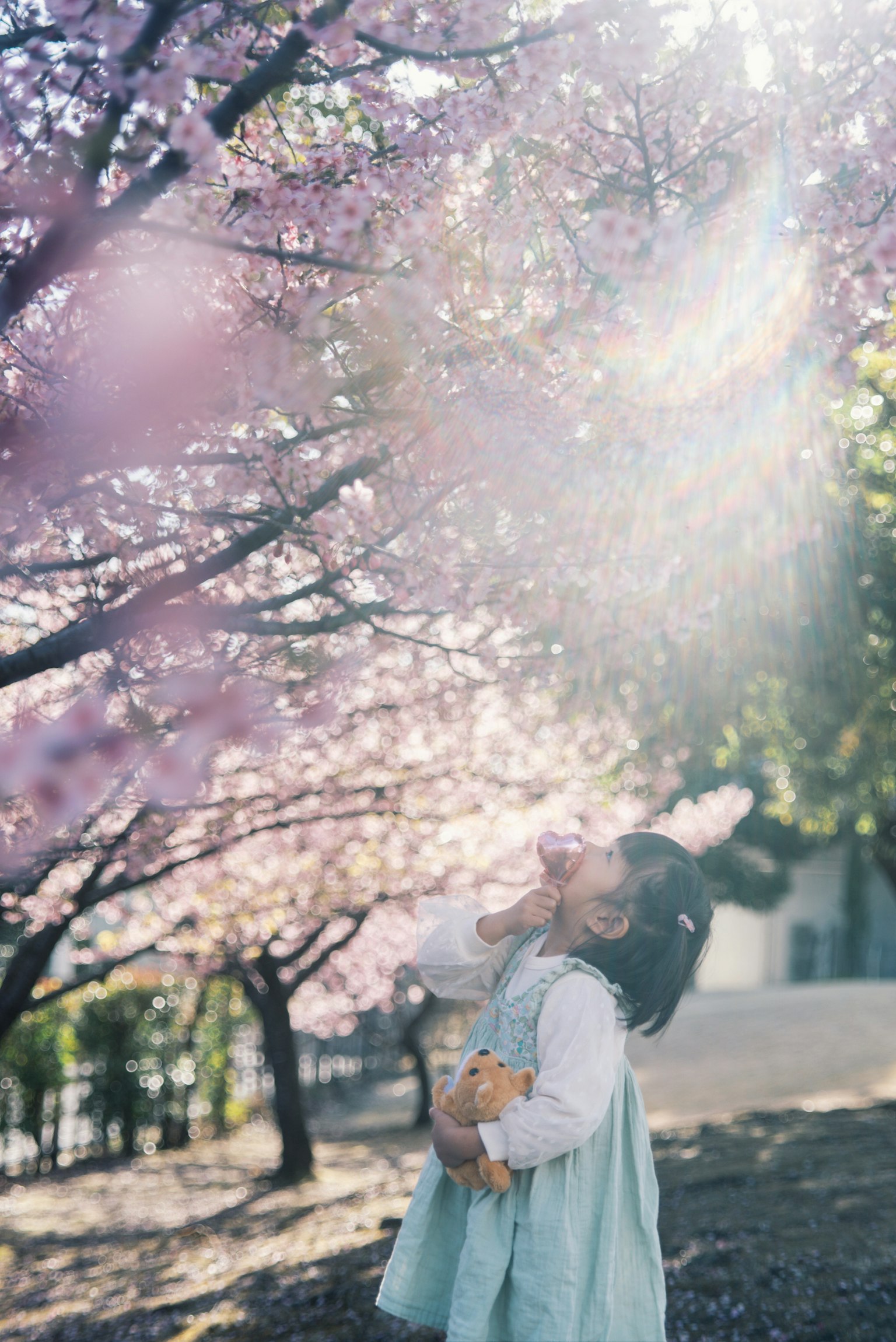 在櫻花樹下微笑的女孩