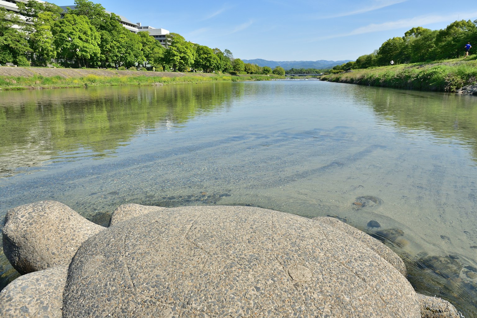 Ruhige Flusslandschaft mit einem großen Stein und üppigem Grün