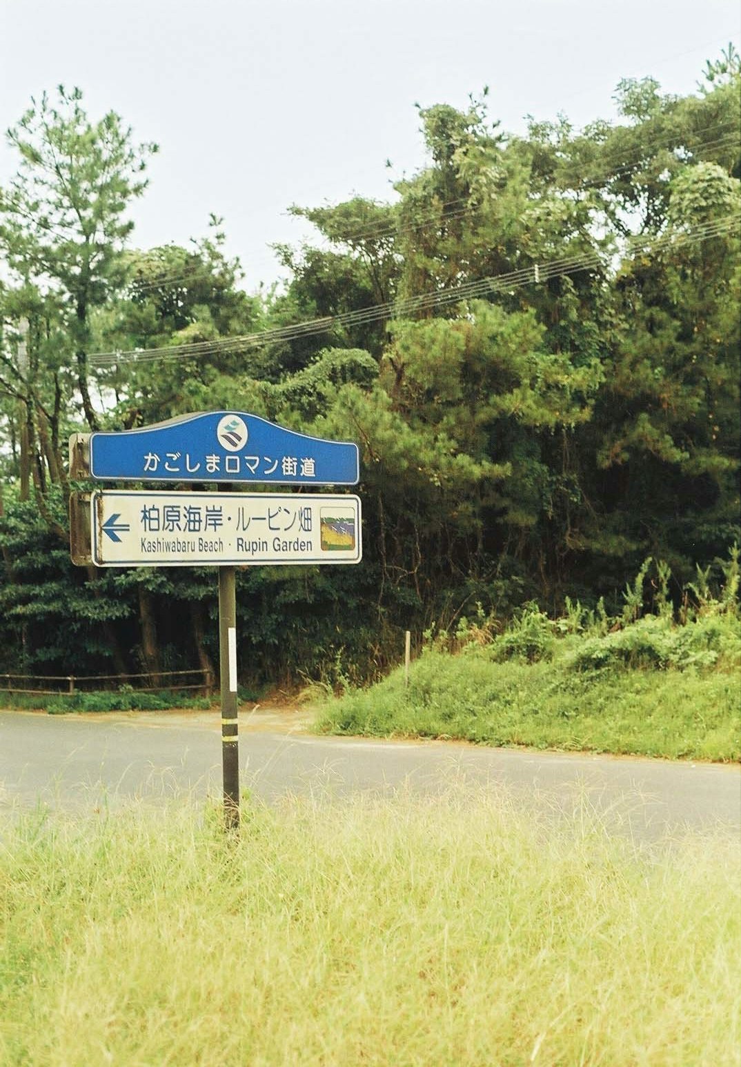 Cartel de entrada junto a un sendero verde cerca del parque Kashiwa-no-ha