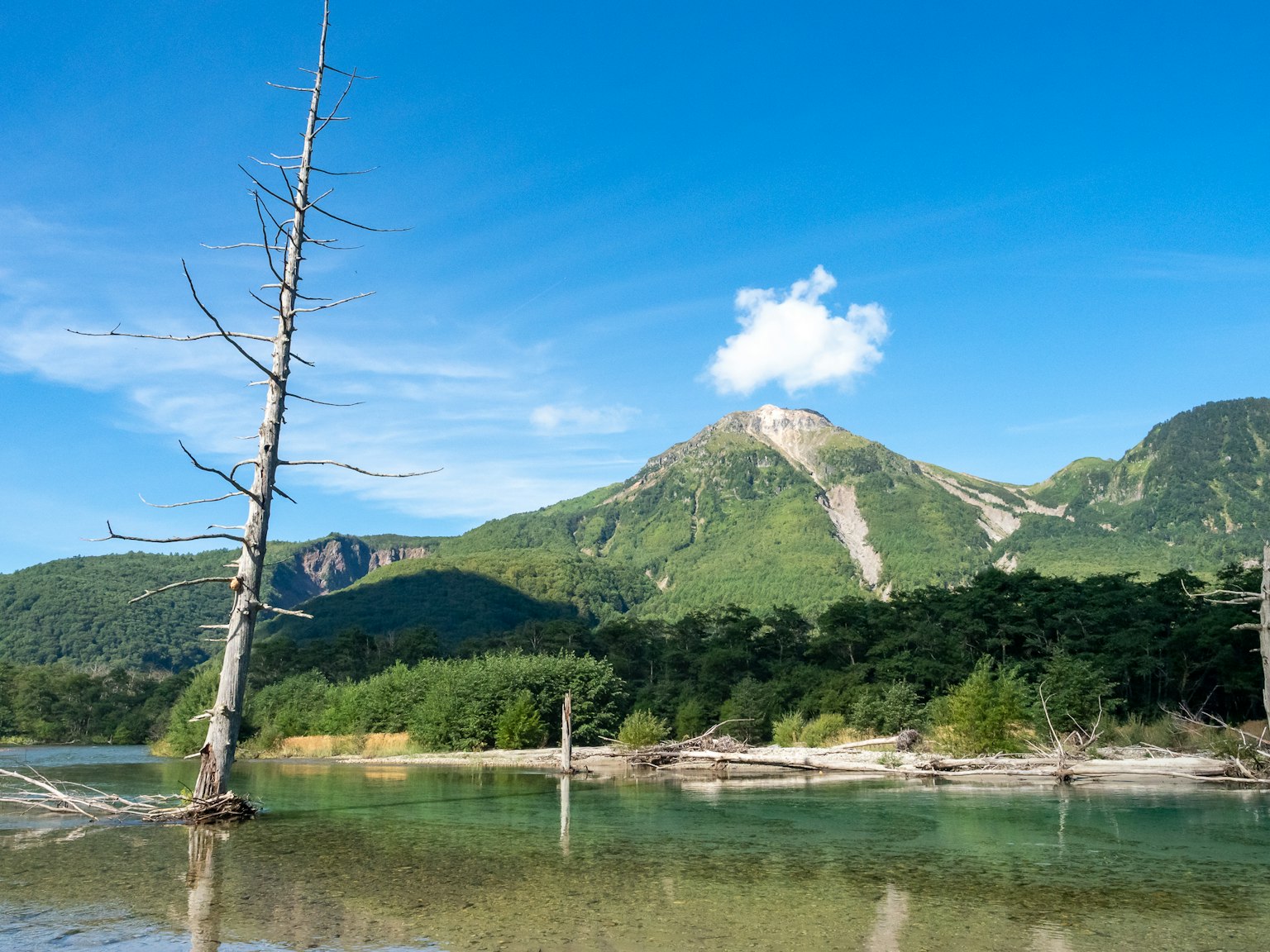 Landscape featuring a dead tree with green mountains and a blue sky