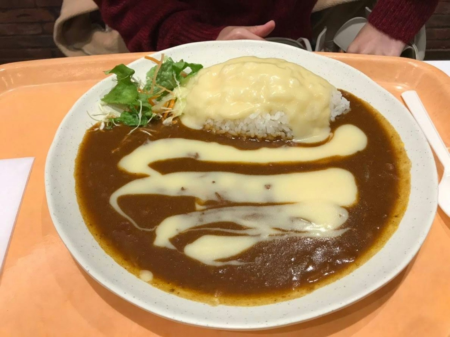 Plato con salsa de curry, arroz cremoso y ensalada al lado