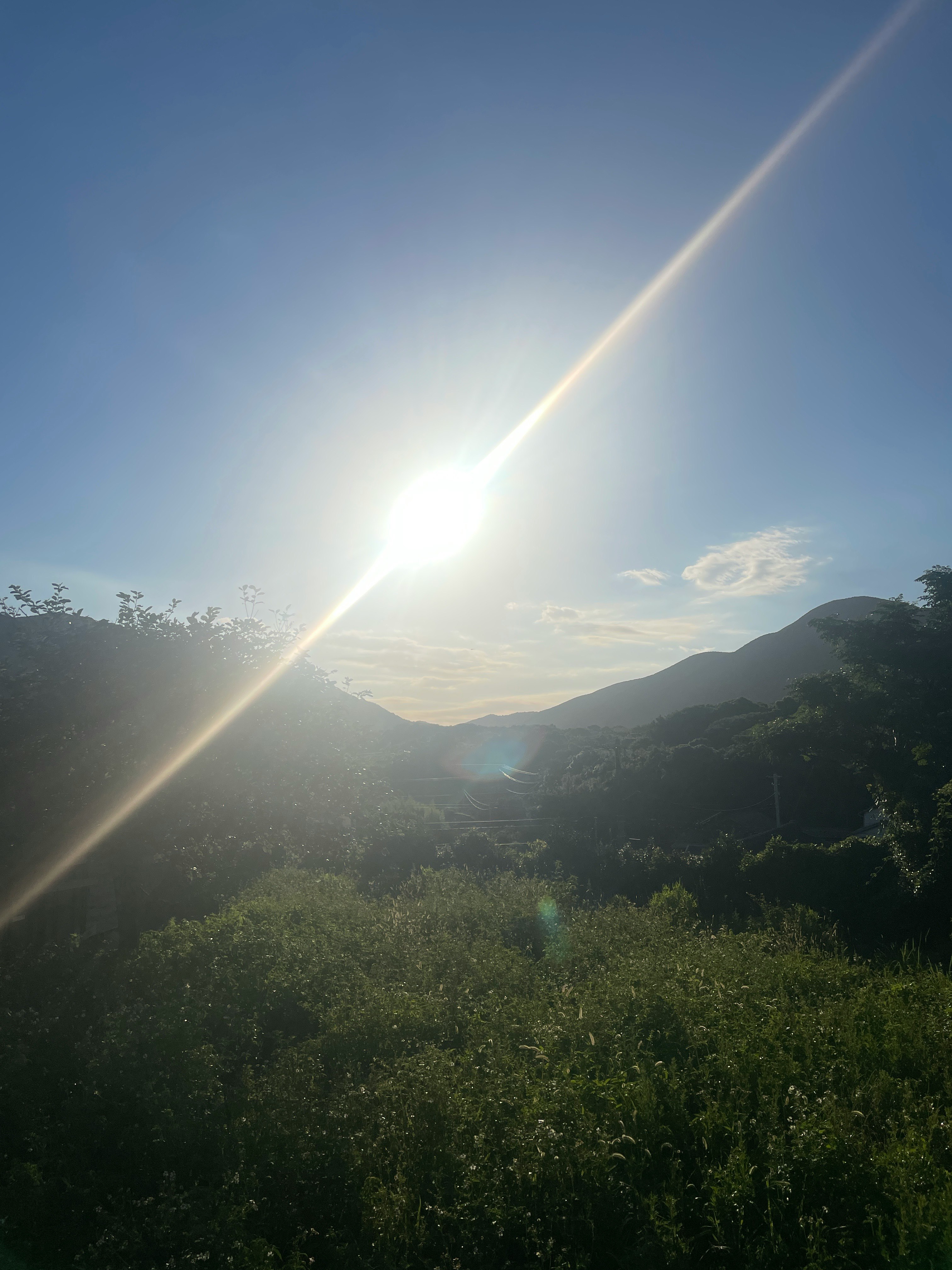 朝日が差し込む緑の山並みの風景