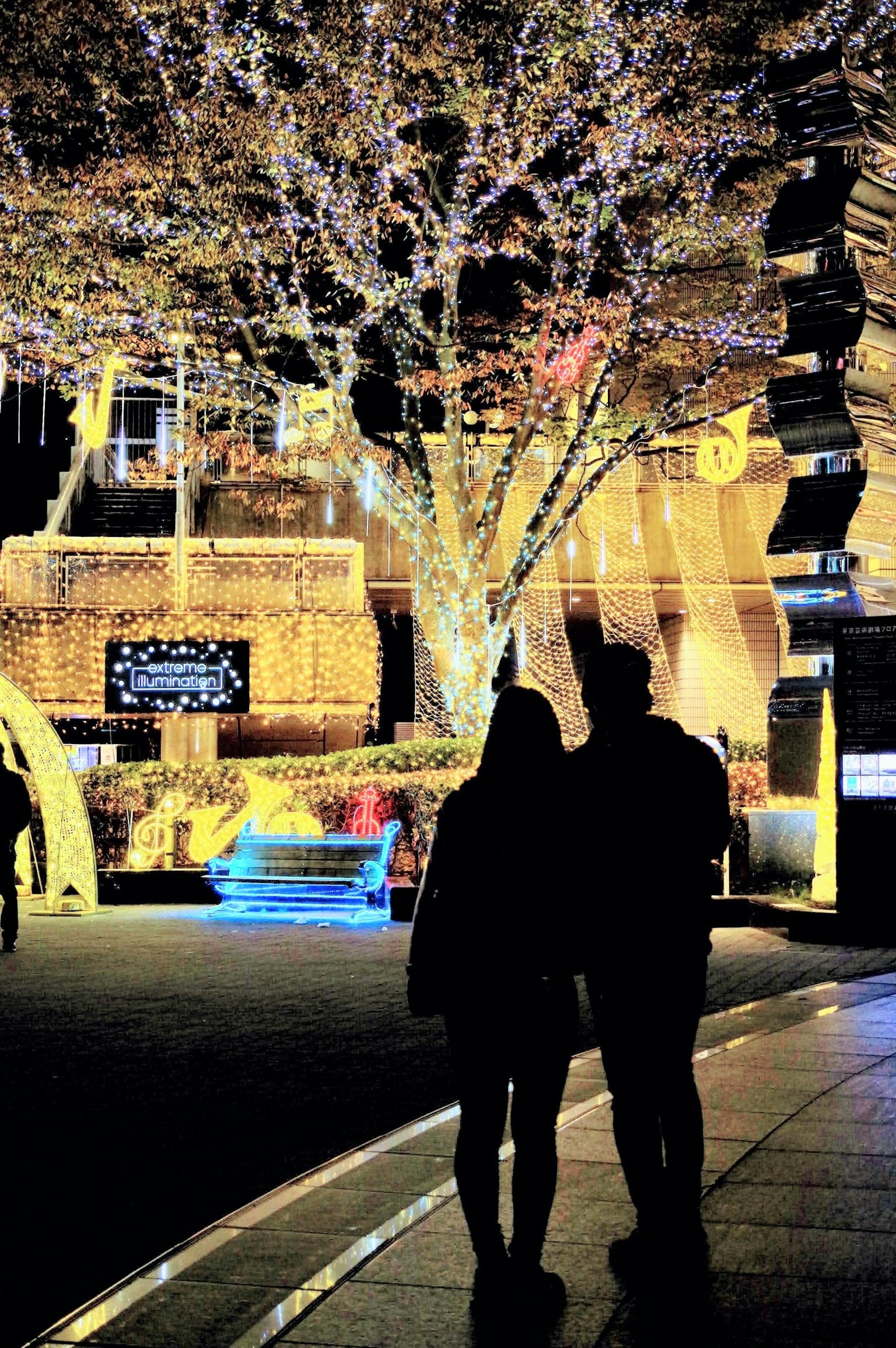 Couple standing in front of a tree illuminated at night