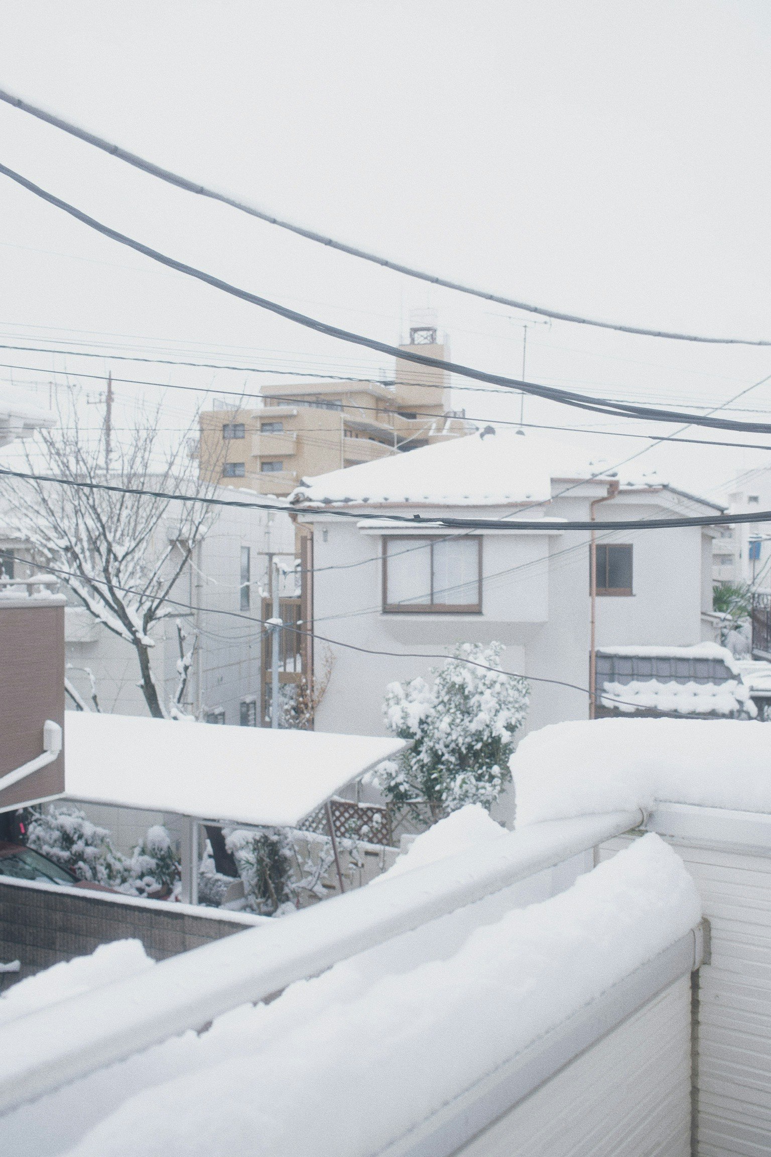 積雪覆蓋的住宅區屋頂與庭院