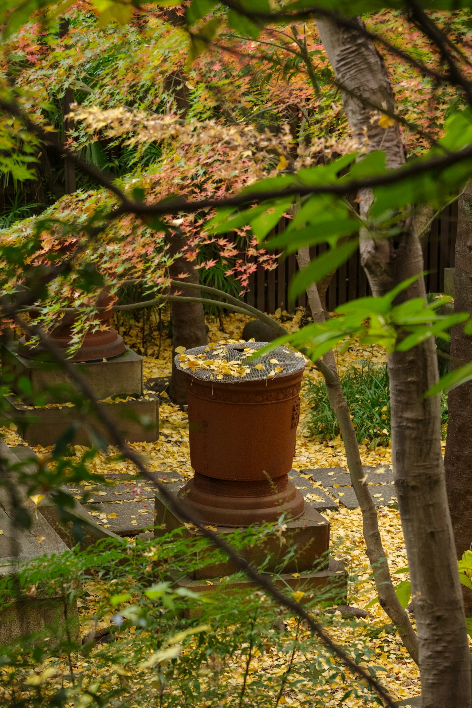 Vaso di terracotta circondato da foglie cadute in un giardino autunnale