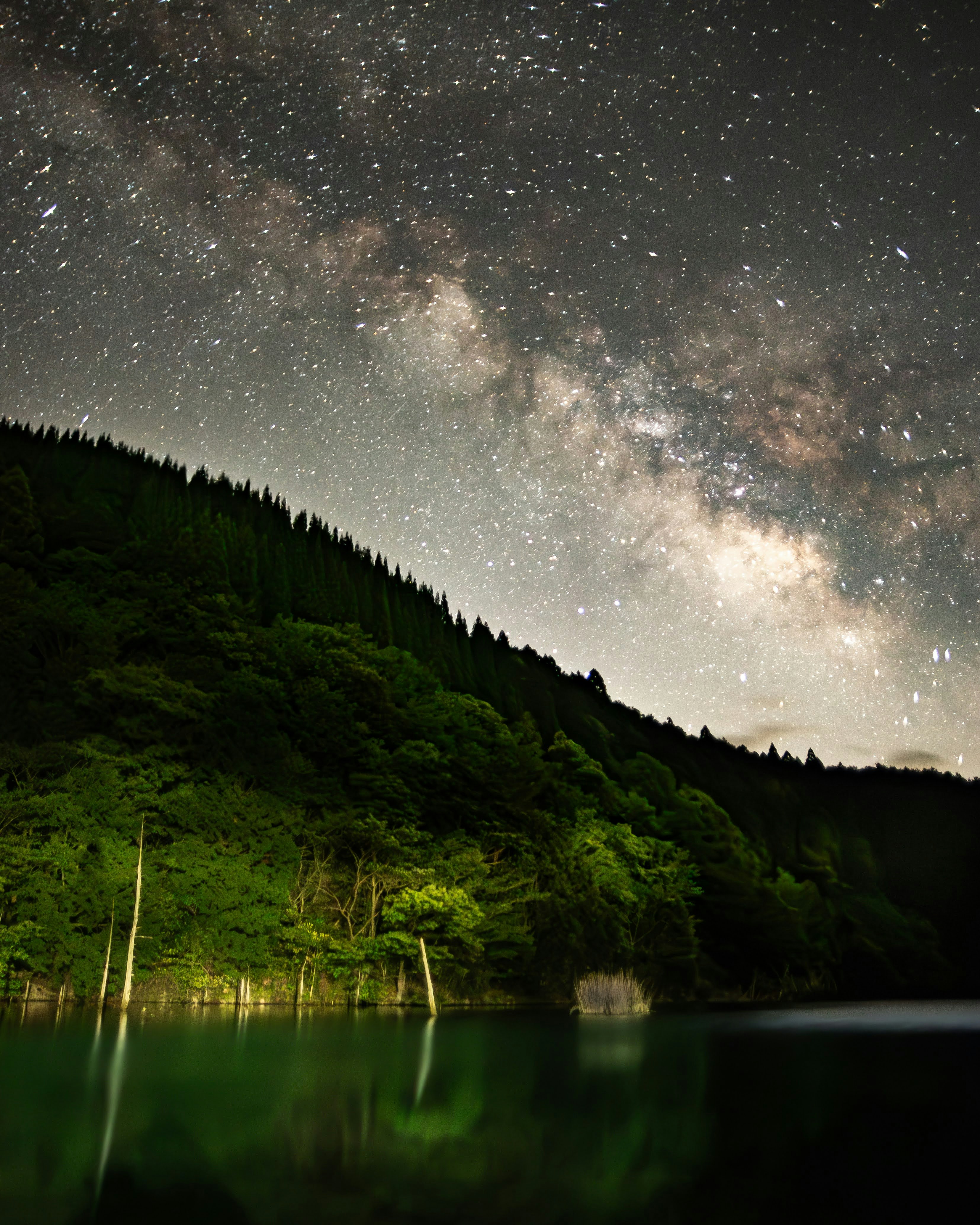 水没林の湖畔に広がる天の川の夜空