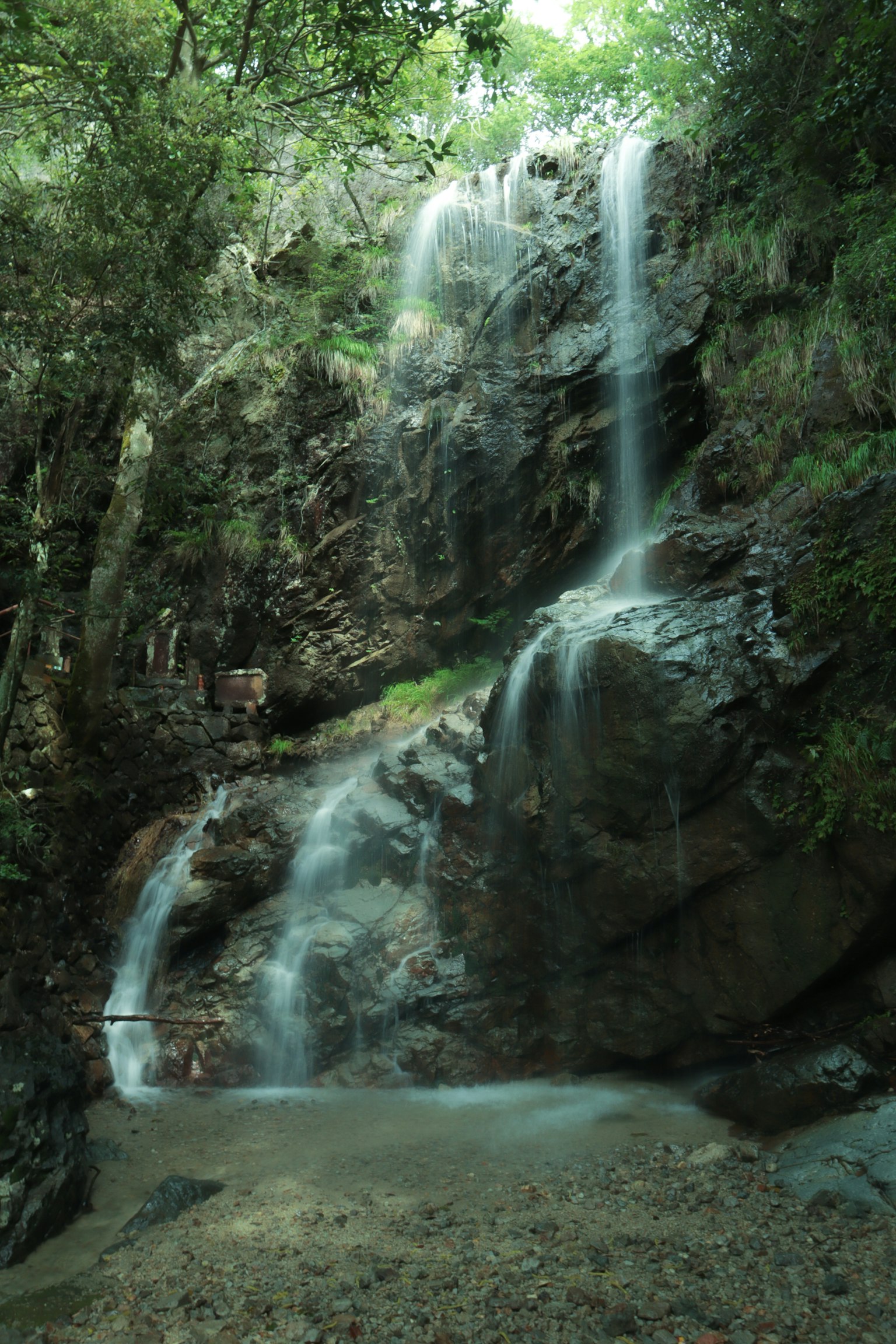 Sebuah air terjun indah mengalir di hutan hijau yang rimbun