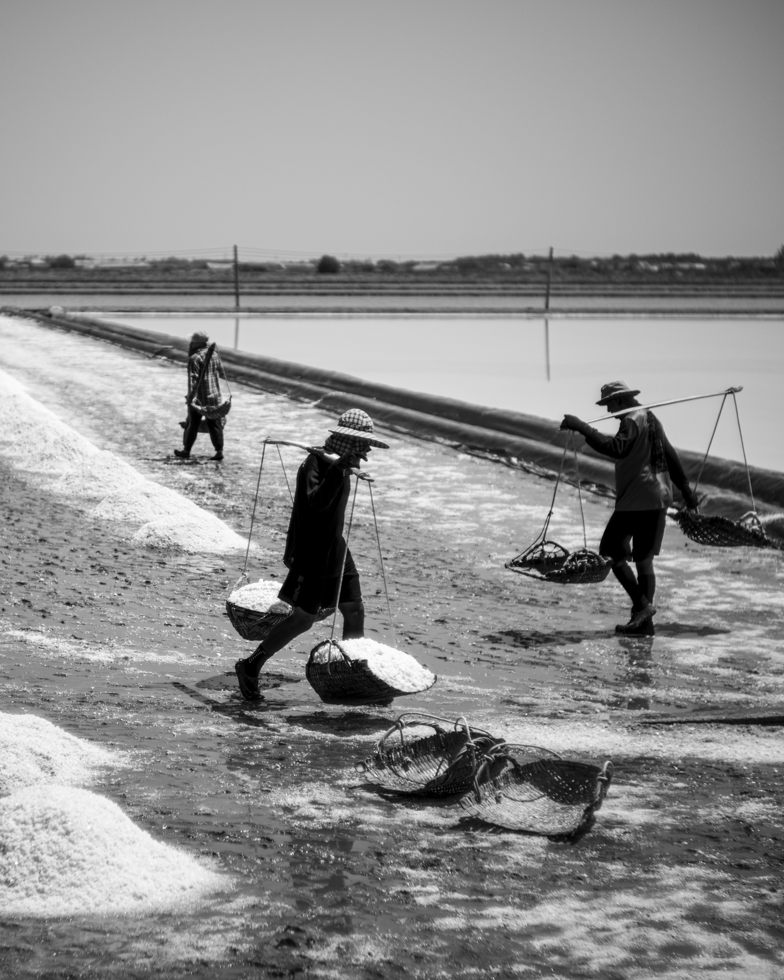lavoratori in una salina con file di sale