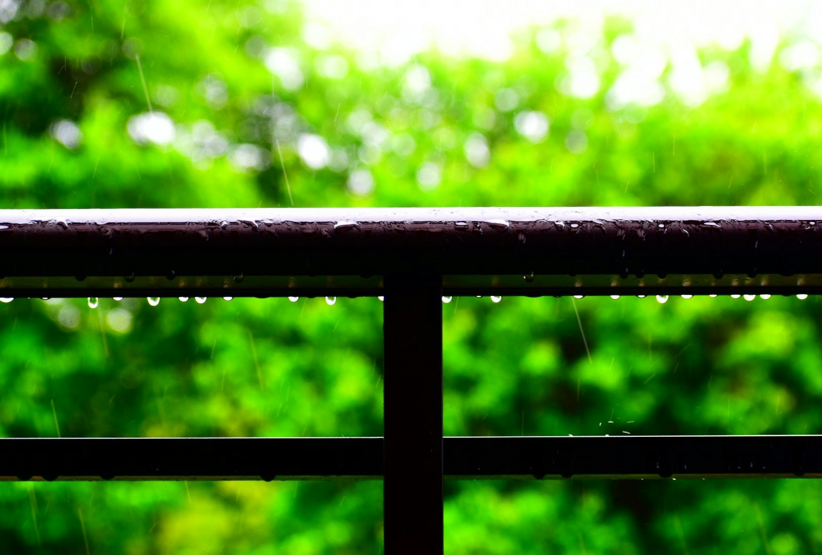 手すりに付く雨粒のある緑の背景