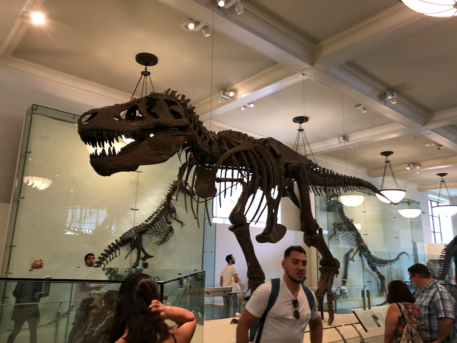 Esqueleto de Tyrannosaurus rex expuesto en un museo con visitantes