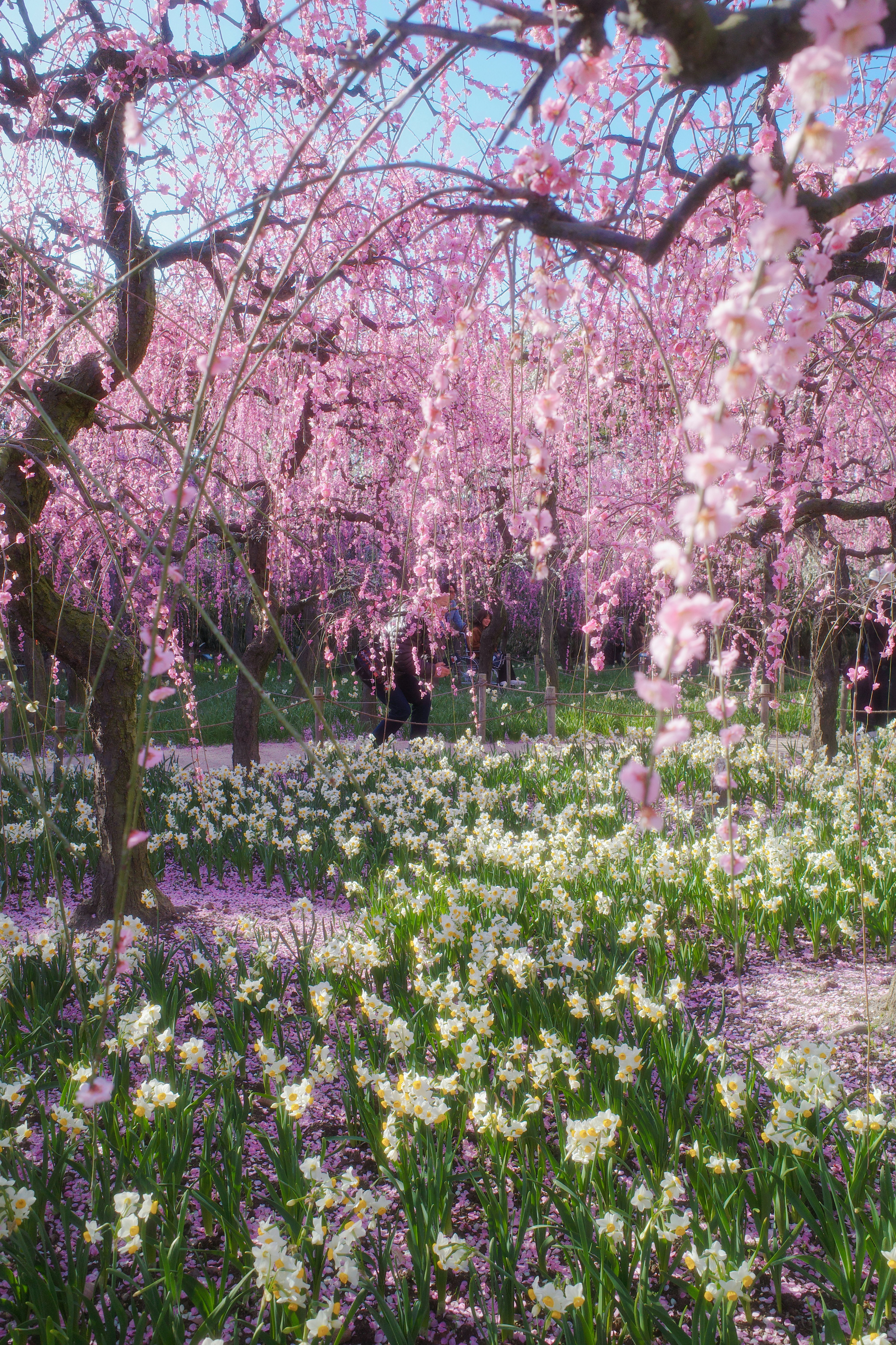 photo-Iq14PgJ3N39AjtJs5srQ-image