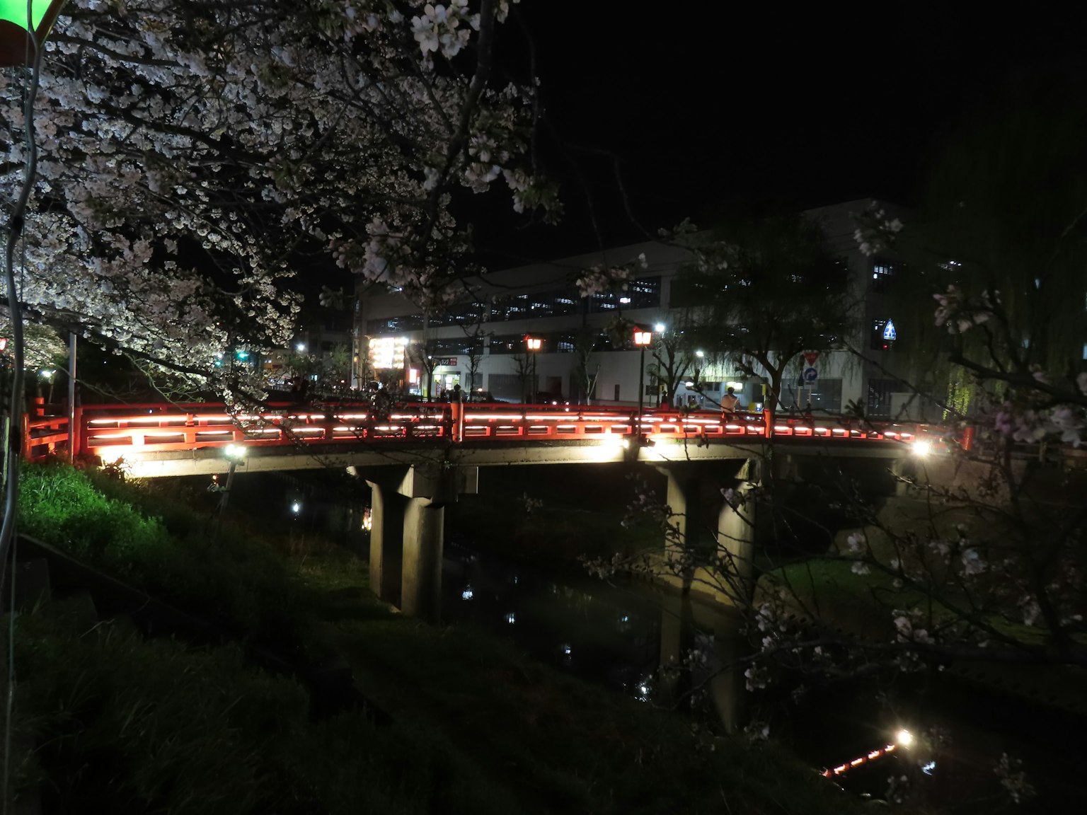 Nachtansicht einer roten Brücke umgeben von Kirschblüten und Lichtern