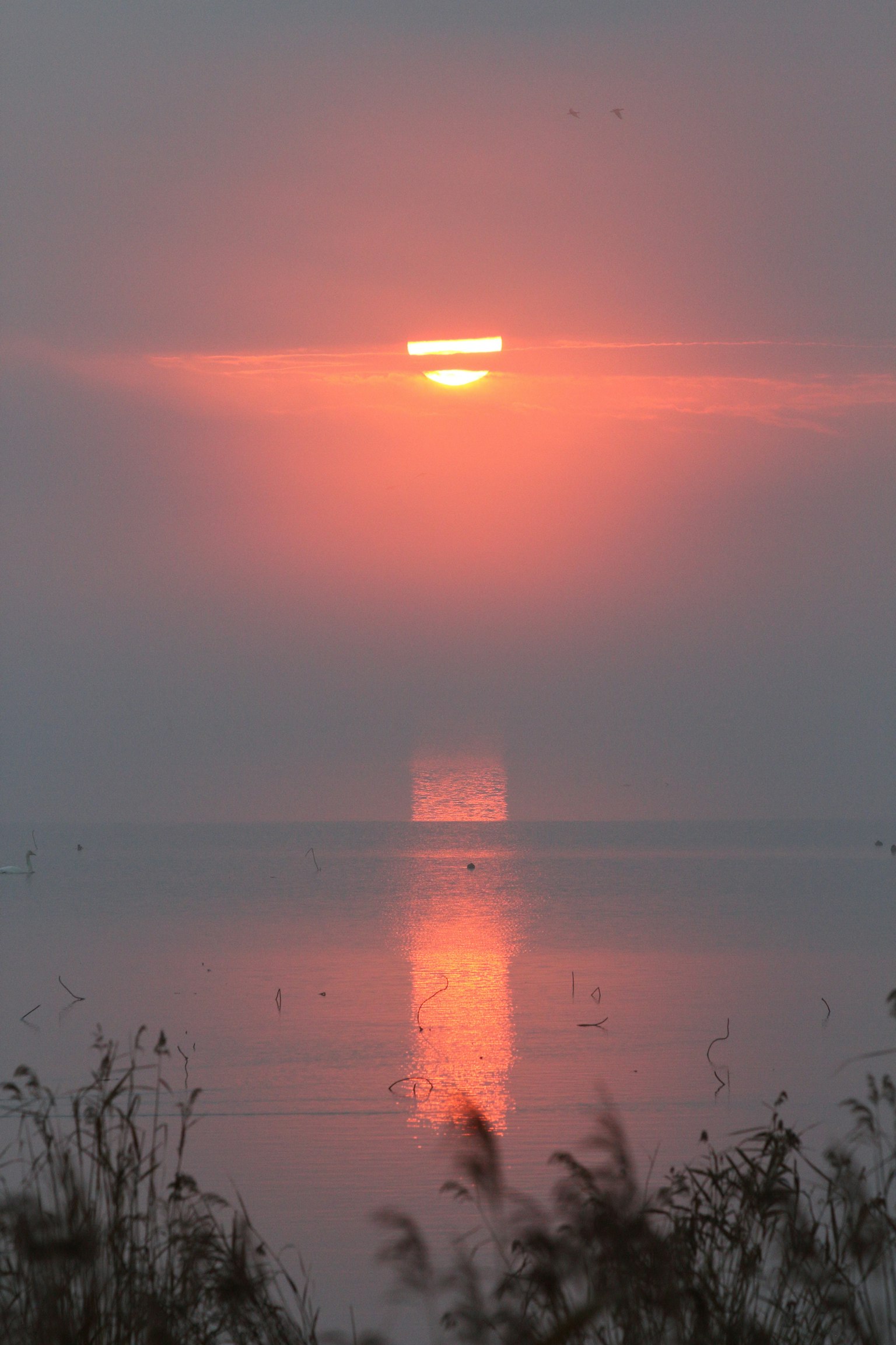 Un atardecer sereno reflejándose en el agua con suaves tonos de naranja y rosa