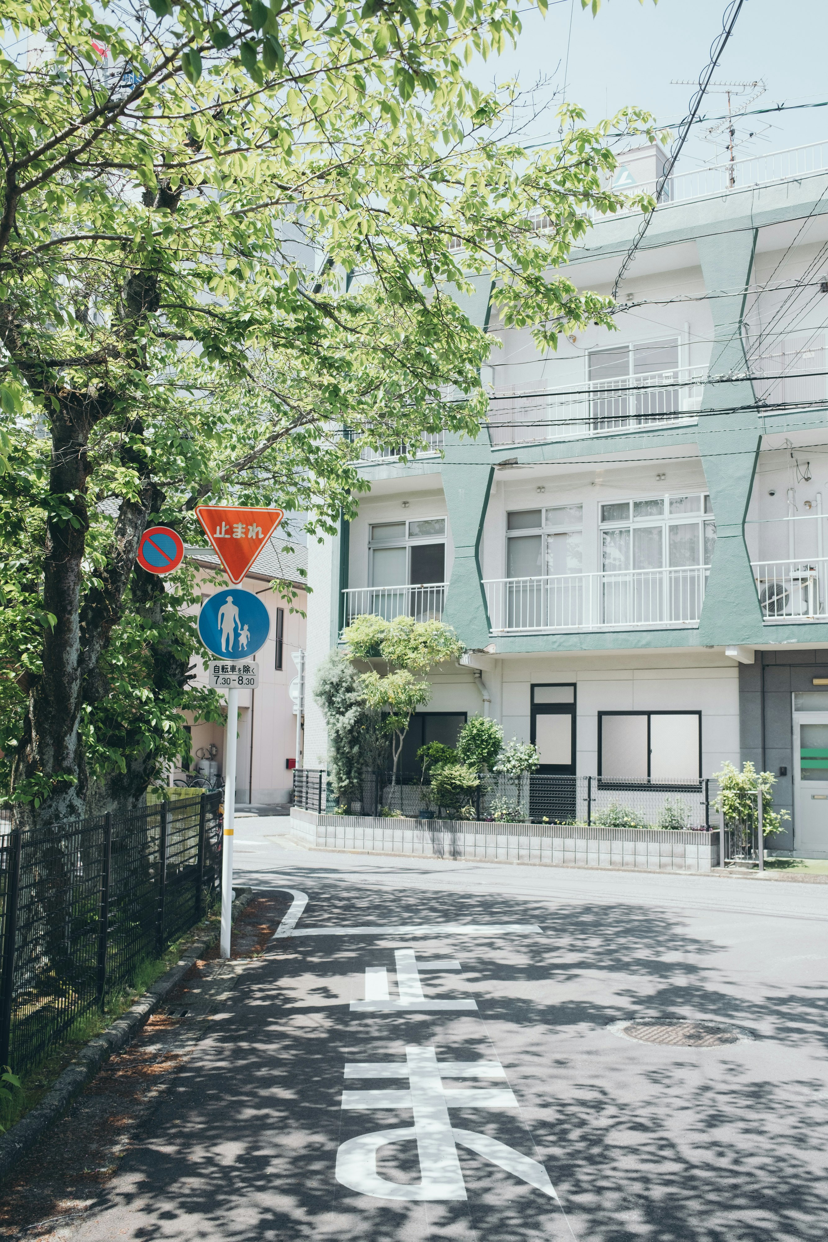 緑の木々と歩道のある住宅街の路地