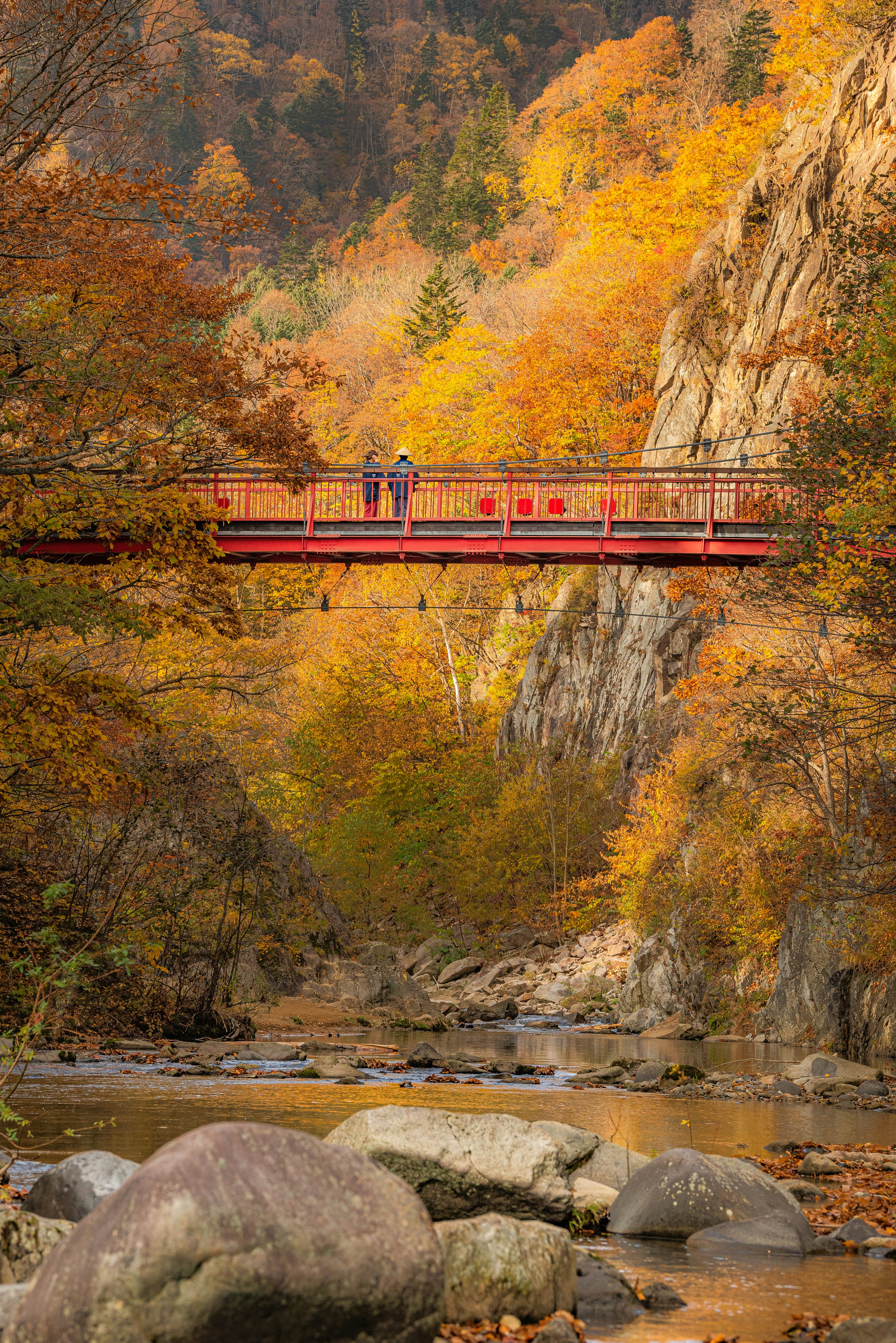 秋季山谷中的紅色橋梁與河流景色