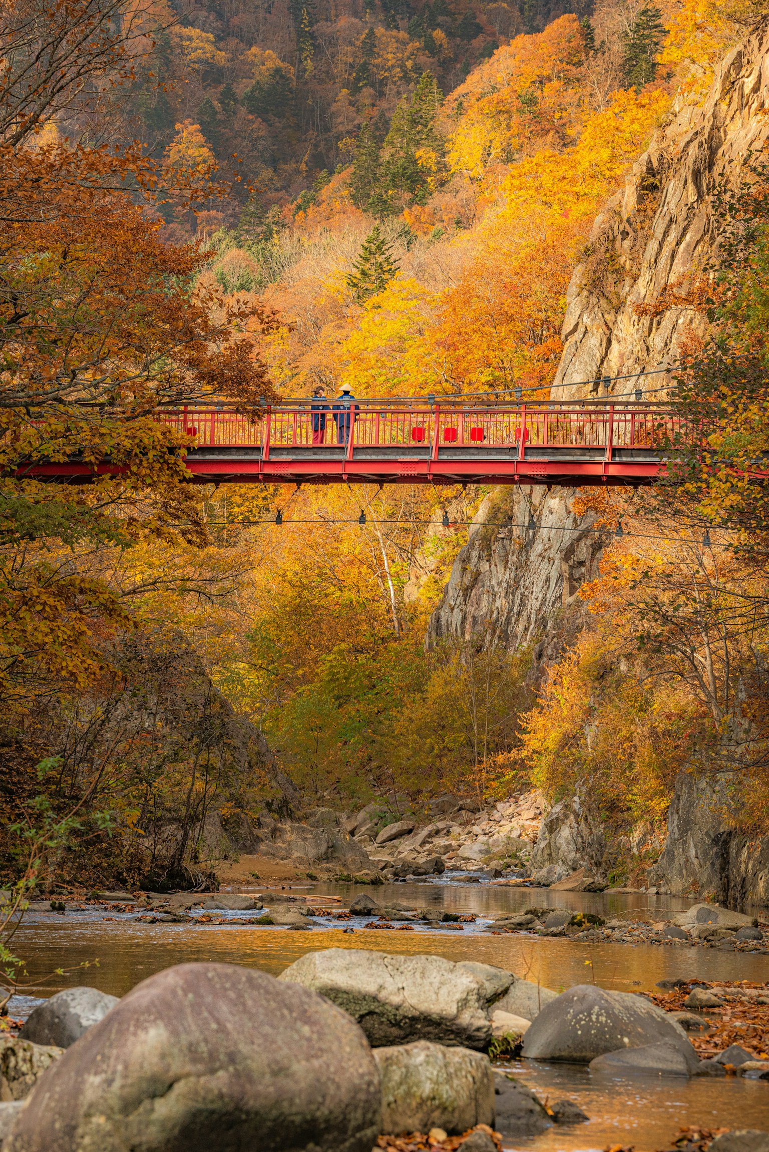 Vue pittoresque d'un pont rouge au milieu d'un feuillage d'automne vibrant