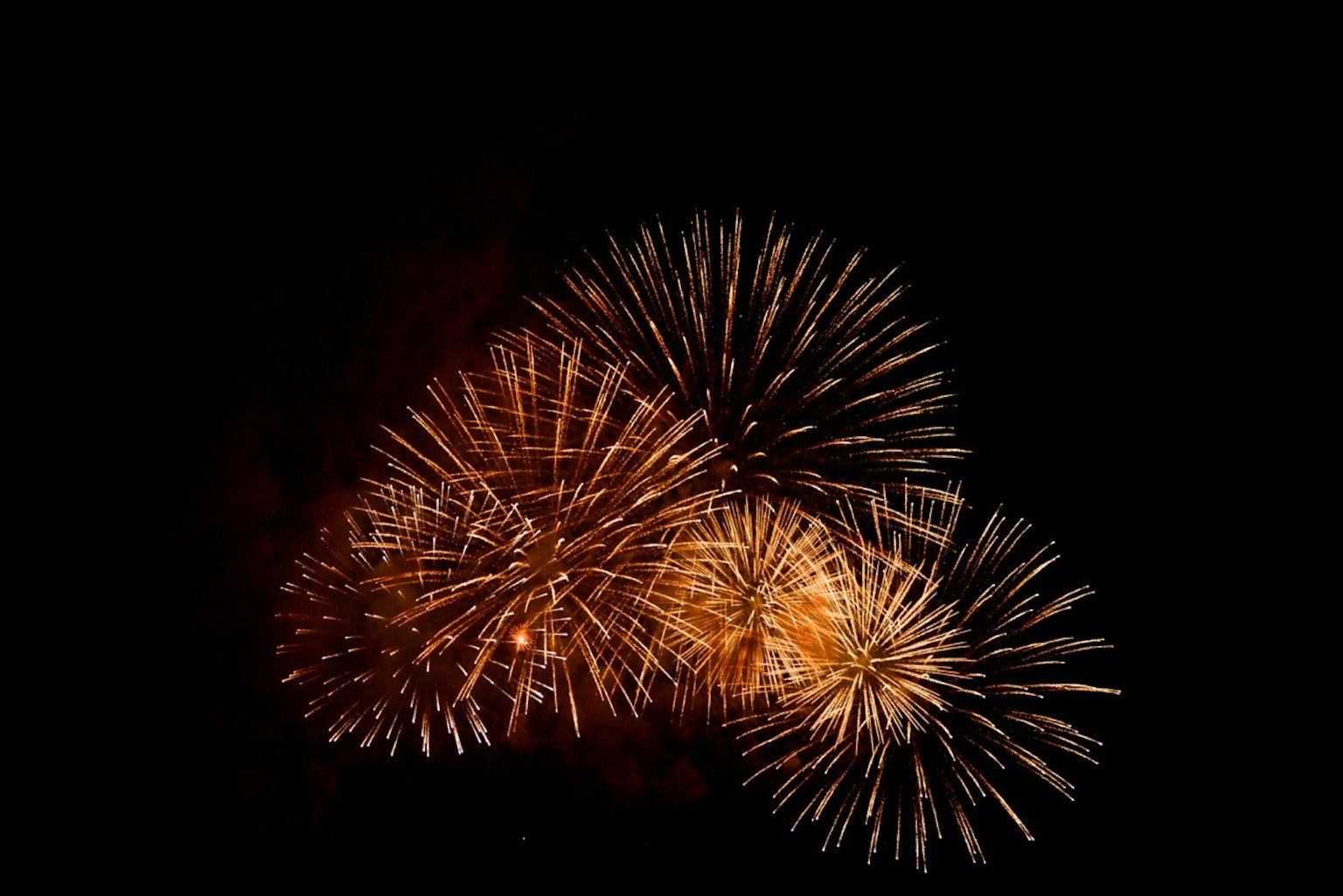 Un groupe de feux d'artifice illuminant le ciel nocturne