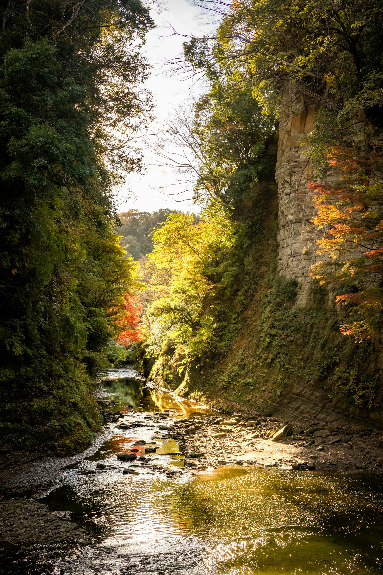 Scenic view of a lush valley with a gentle stream flowing through