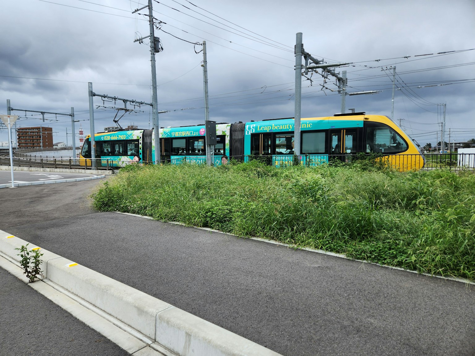 Green and yellow tram passing through tall grass
