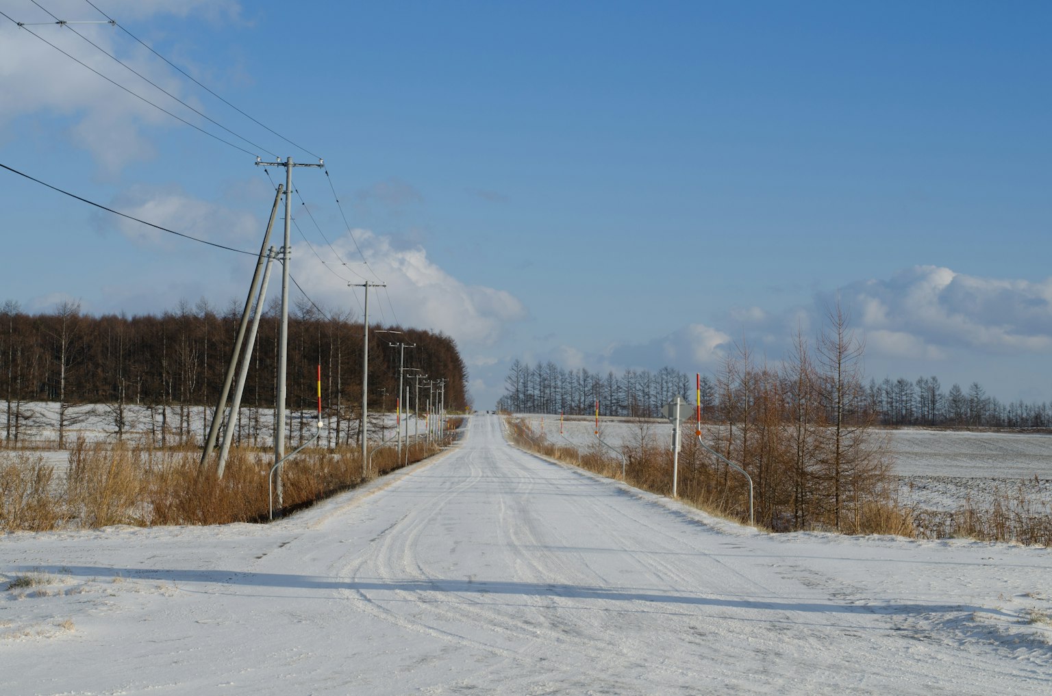Schneebedeckte Straße mit Strommasten in einer Winterlandschaft