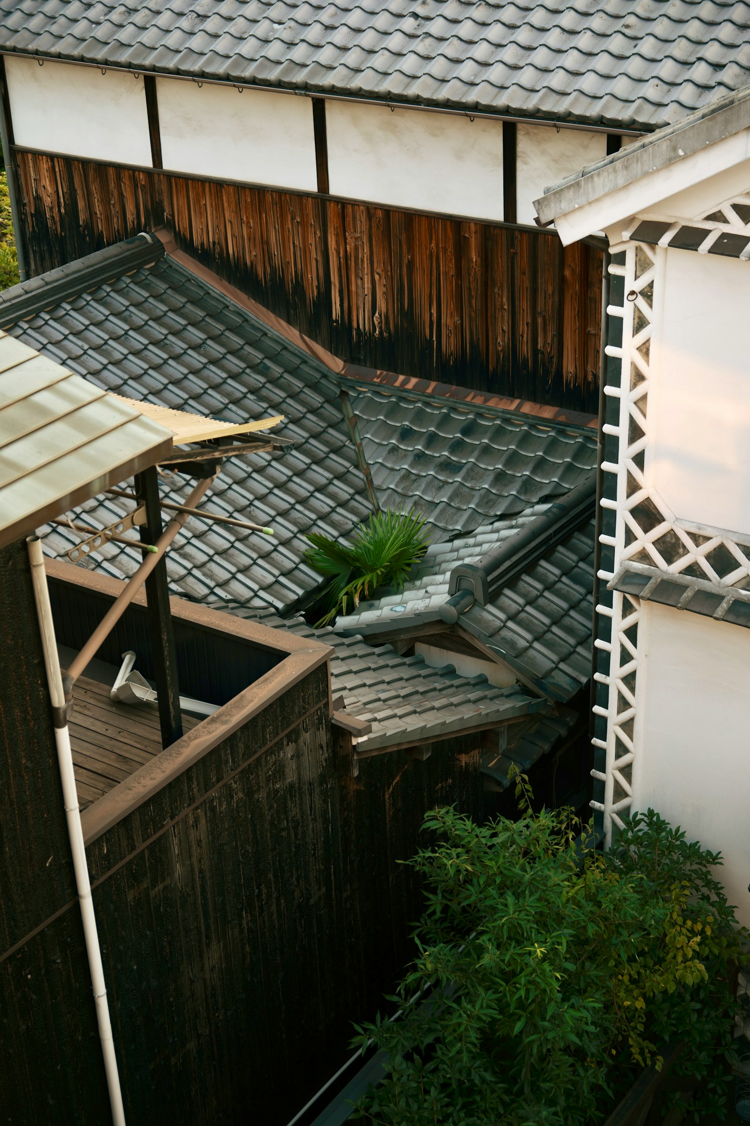 传统日本屋顶和木墙的景观