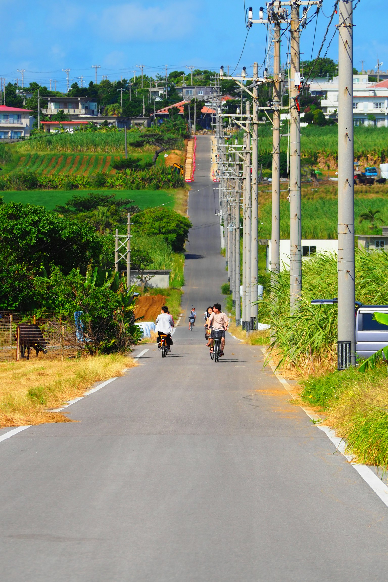 两名骑自行车的人在绿色乡村的长路上骑行