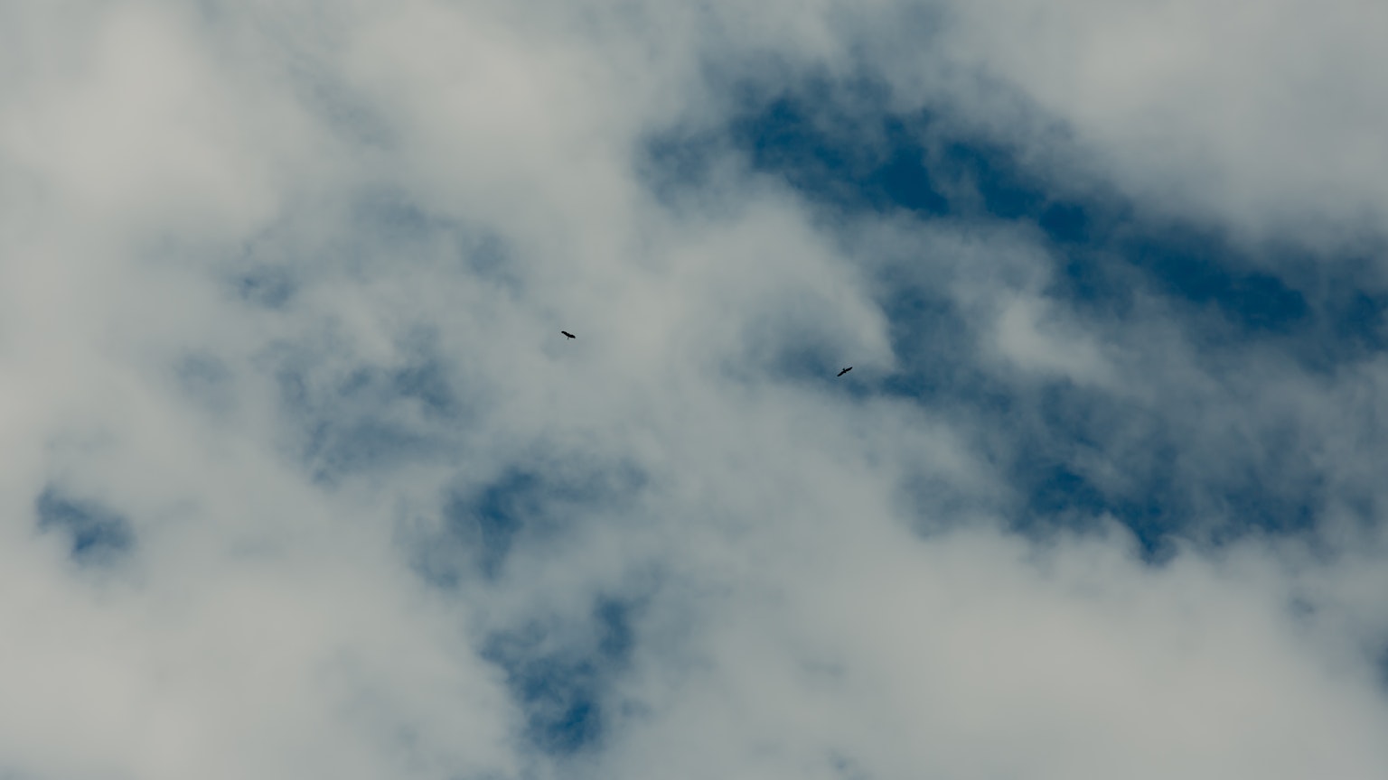 A view of blue sky with white clouds