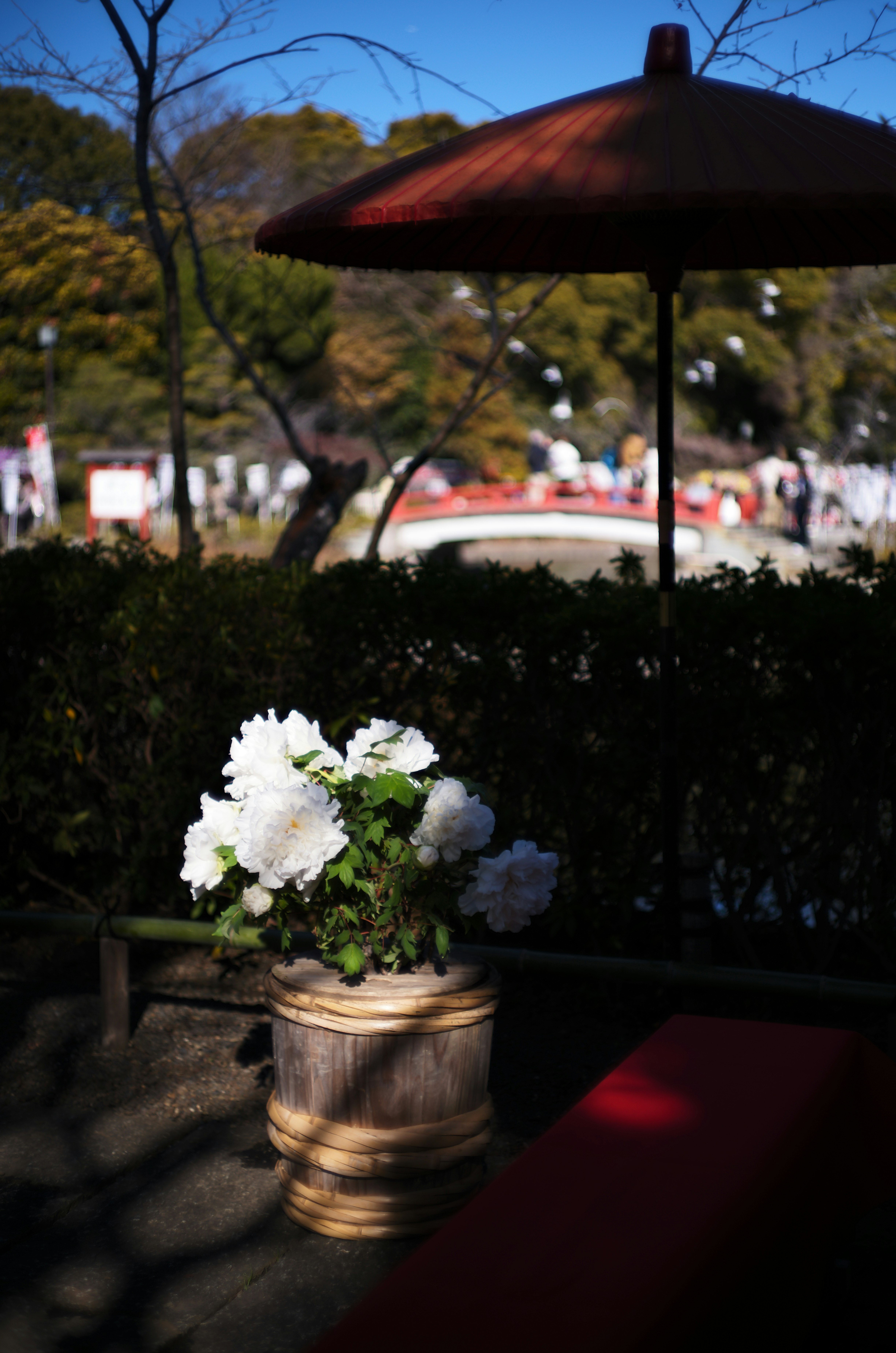 公園のベンチに置かれた花の花瓶と屋外の人々