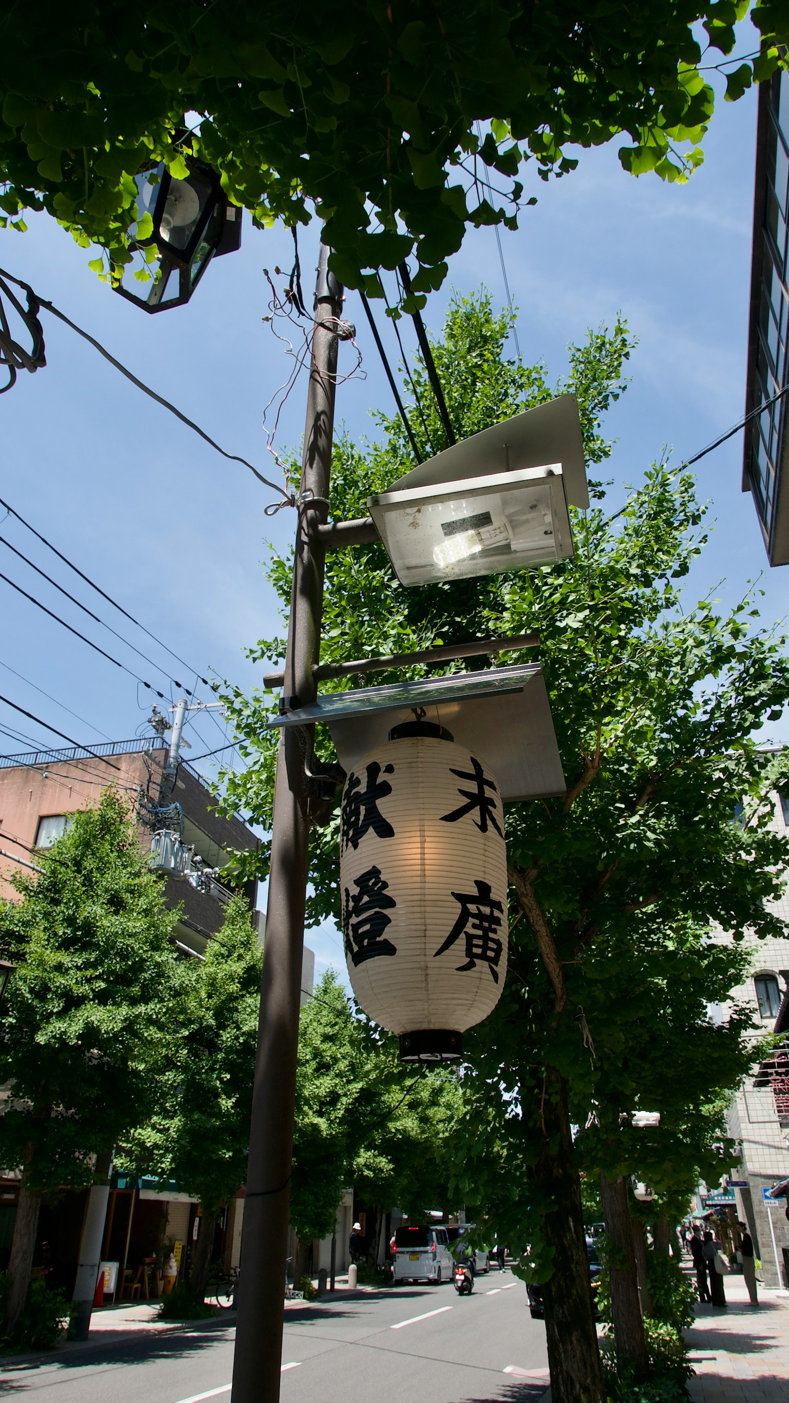 Vue de rue avec des arbres et une lanterne