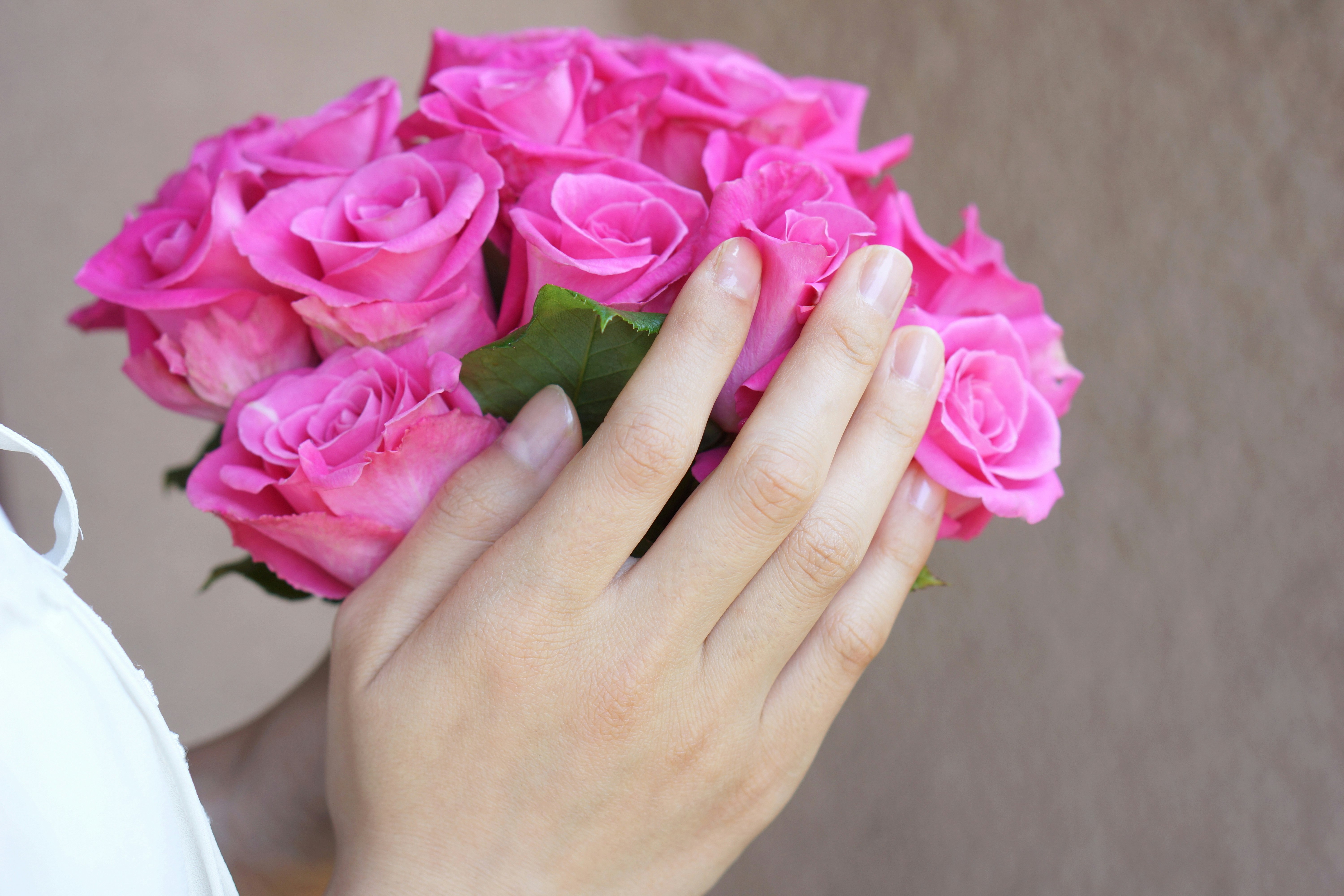 ピンクのバラの花束に手を添える