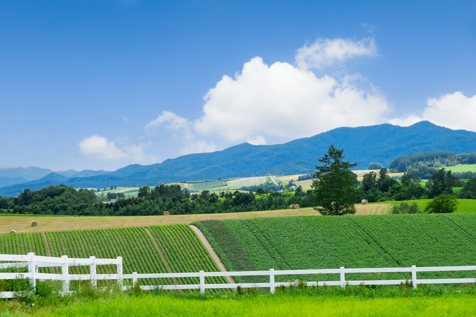 Paesaggio rurale con campi verdi e cielo blu, montagne sullo sfondo